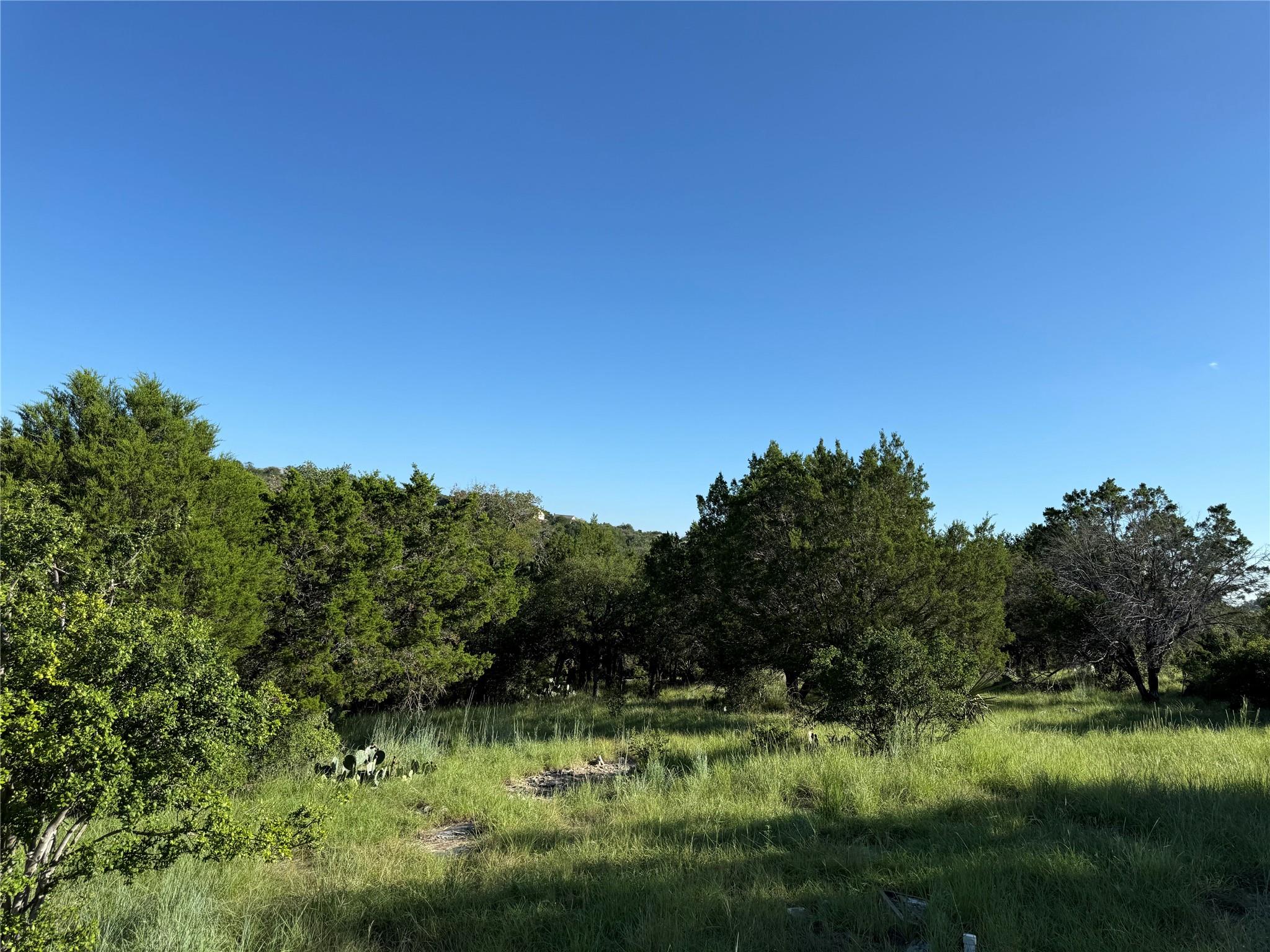 Lot 22325 Jalapeno — photo 5