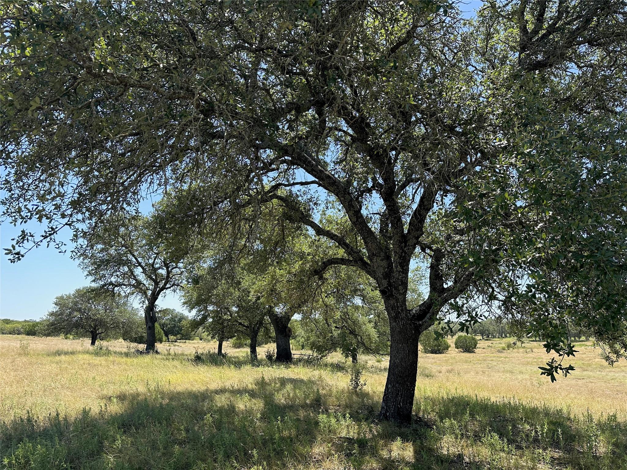Lot 231 Winecup DR — photo 3