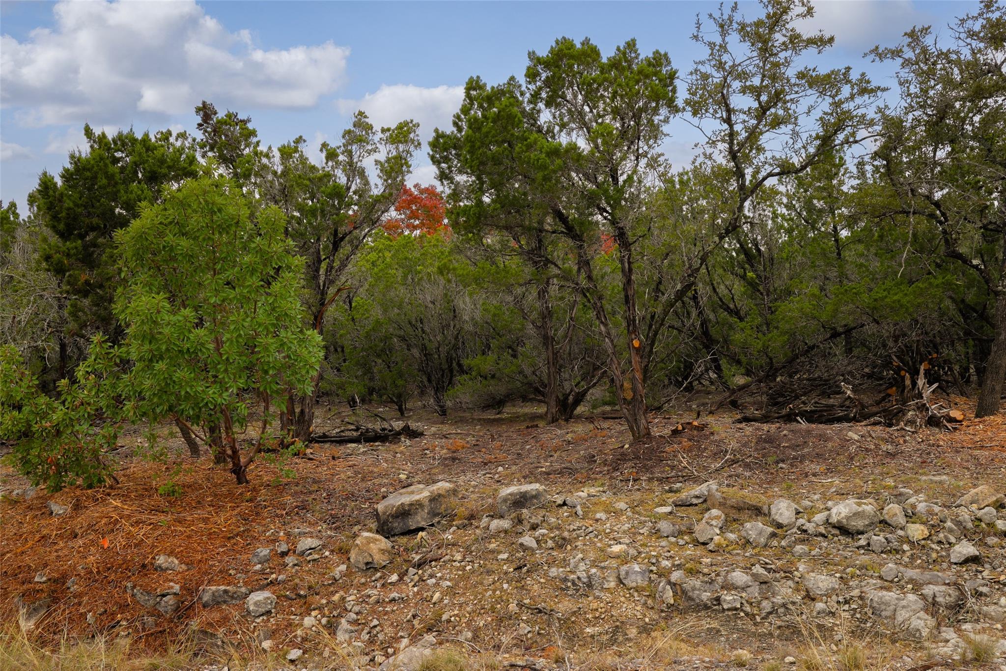 TBD Stagecoach Ranch LOOP — photo 4