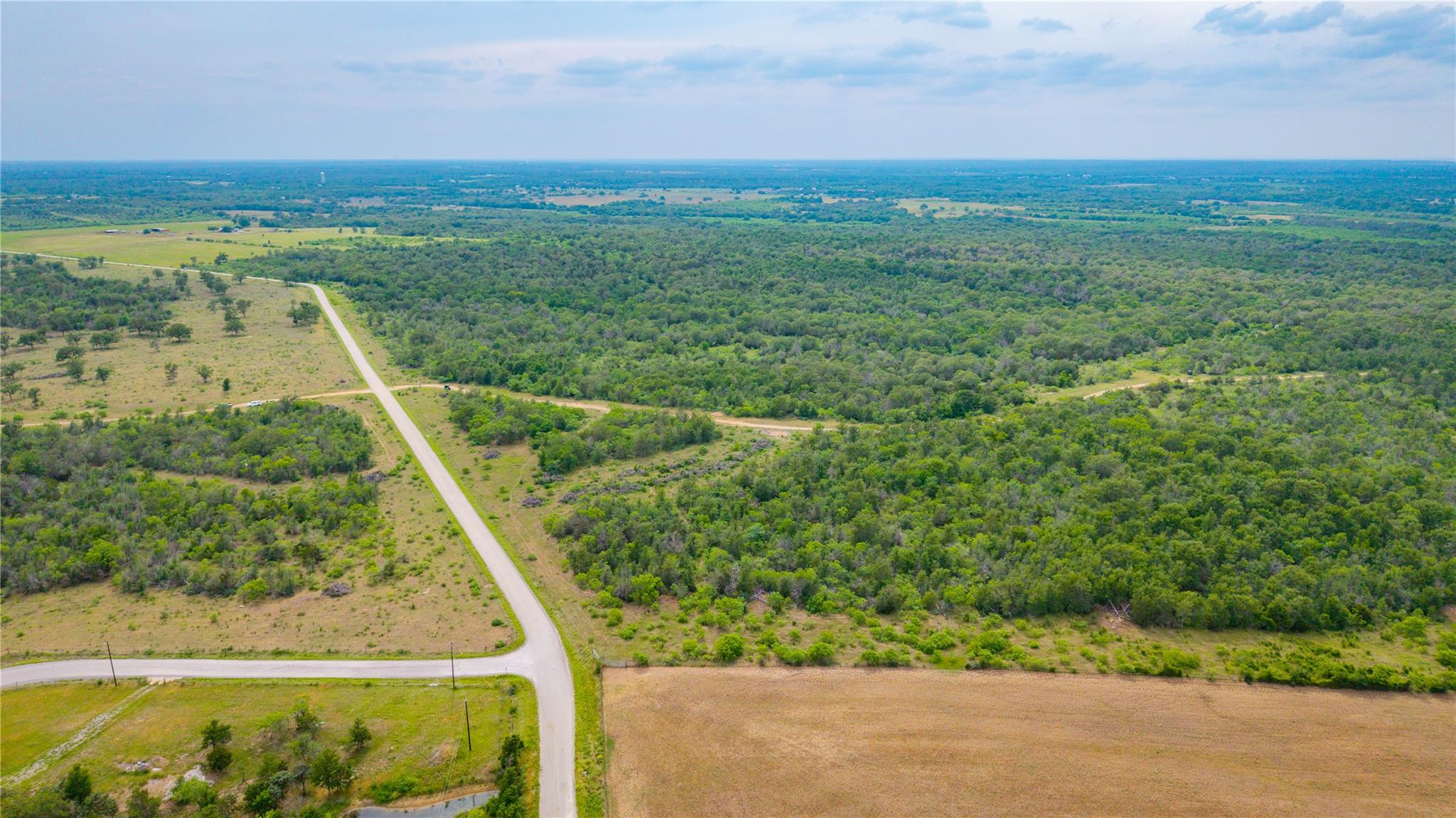 TBD(1) Walter Hoffman RD — photo 4