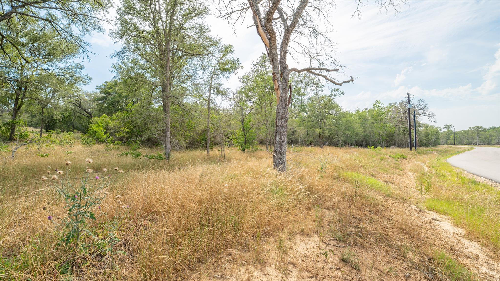 960 Ferguson LOOP — photo 3