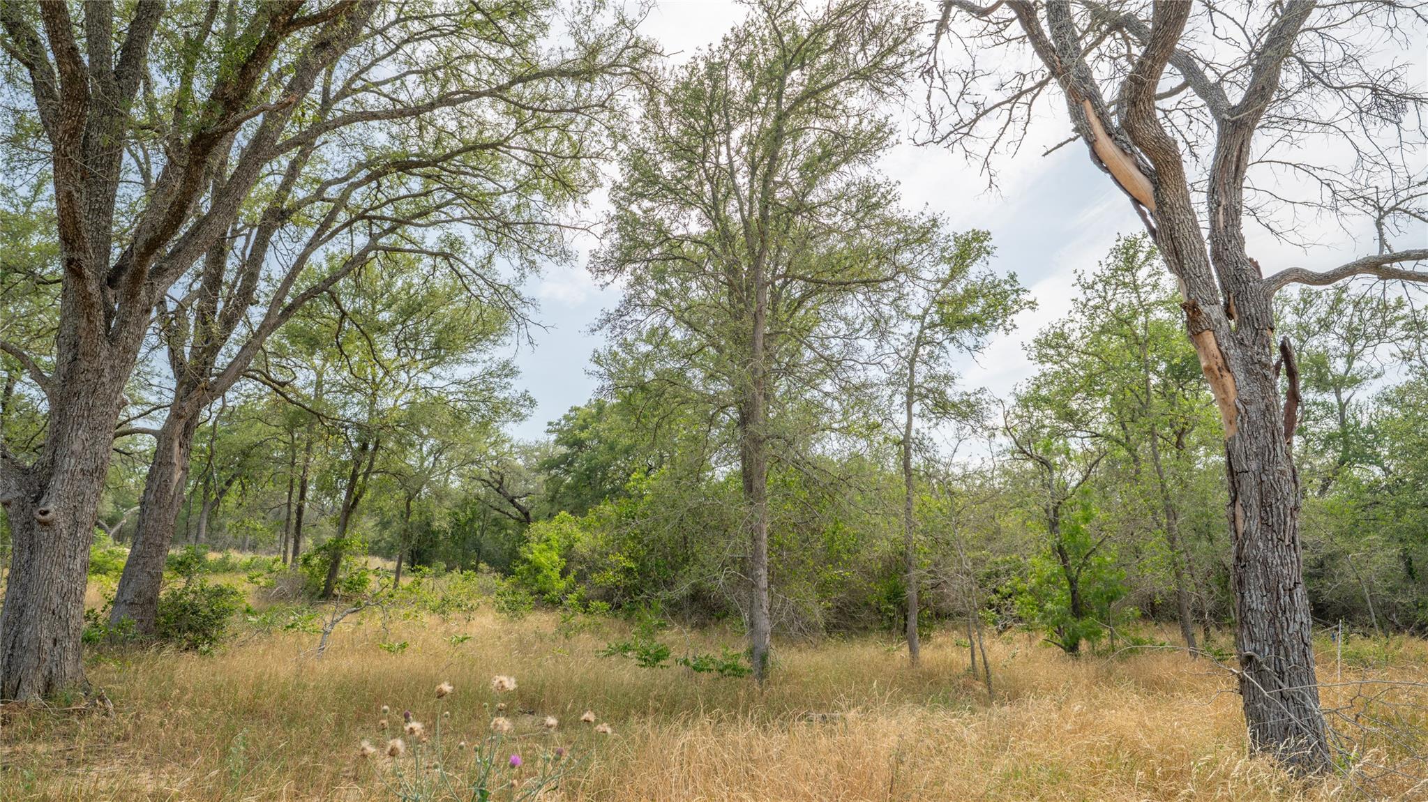 960 Ferguson LOOP — photo 4
