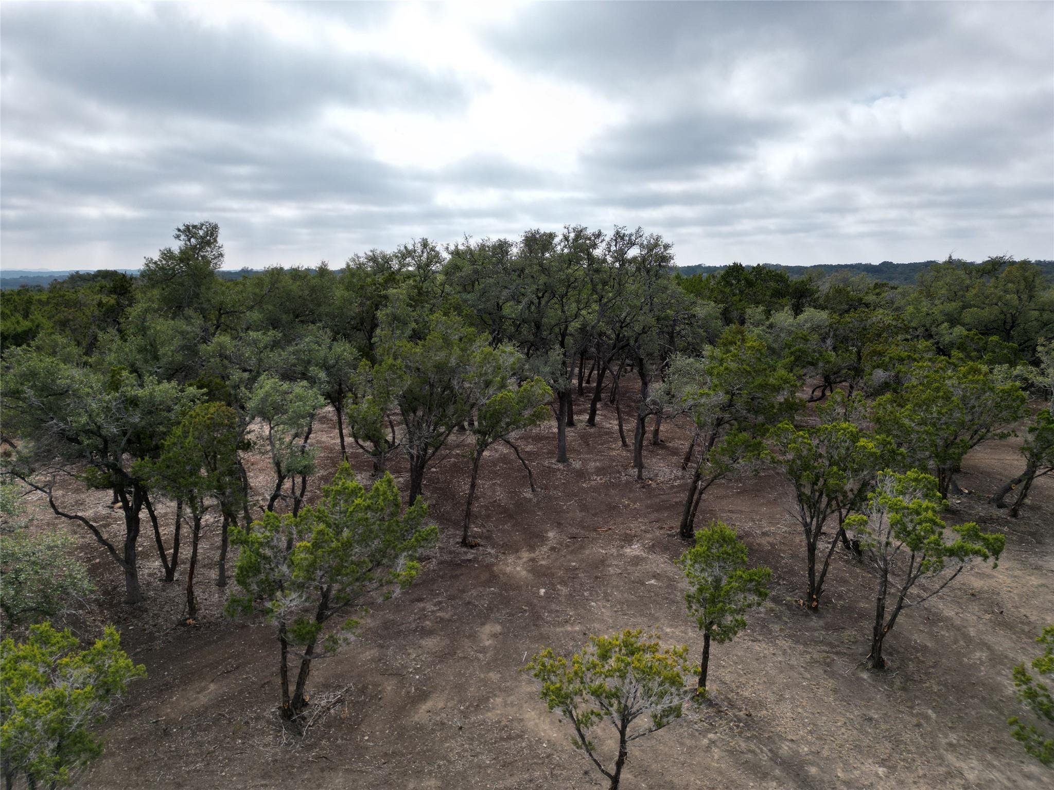 15 Acres Red Corral Ranch RD — photo 3