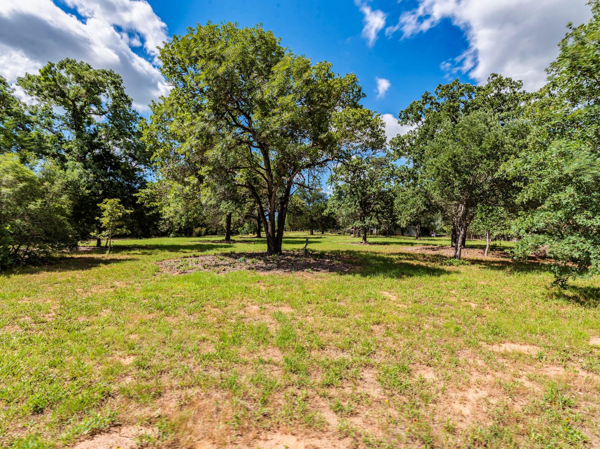 160 Radcliff LN — photo 4
