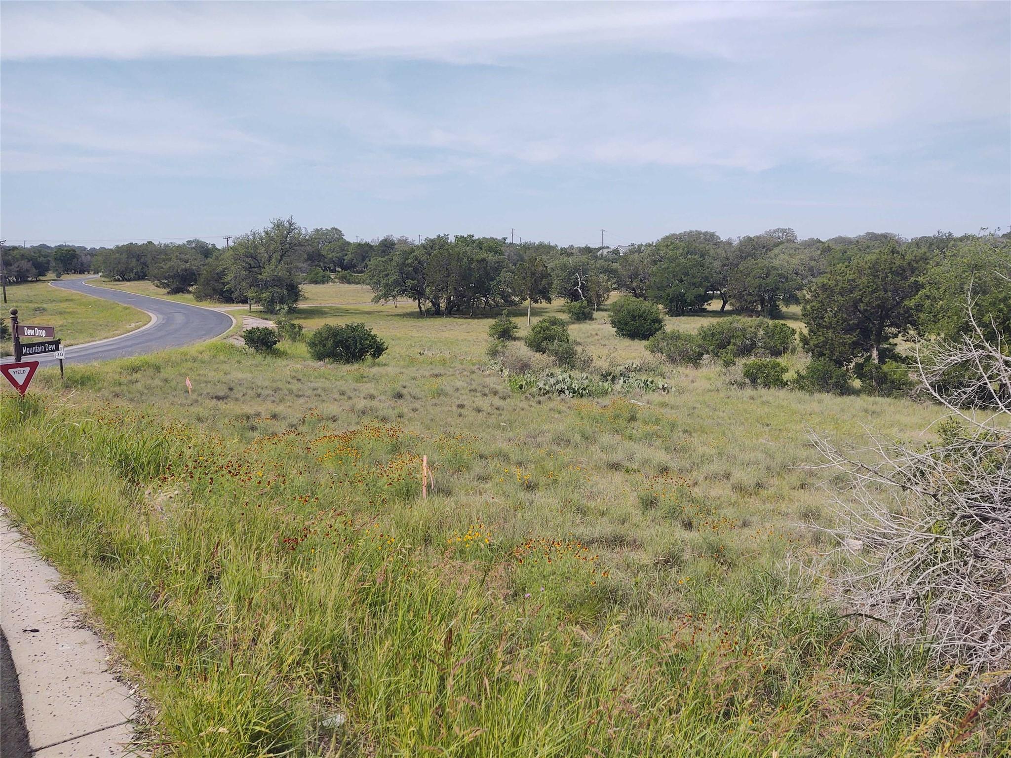 00 Mountain Dew RD — photo 3
