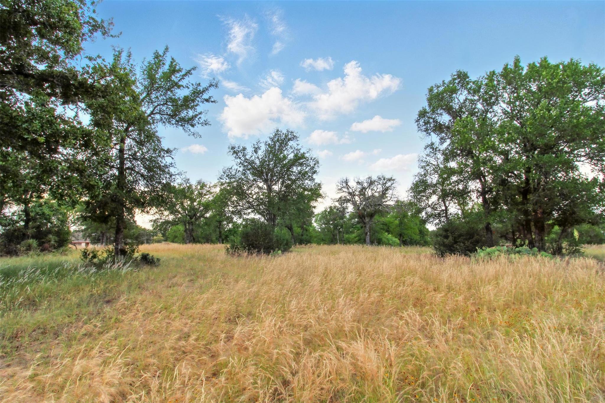 Lot 205 Skyline DR — photo 5
