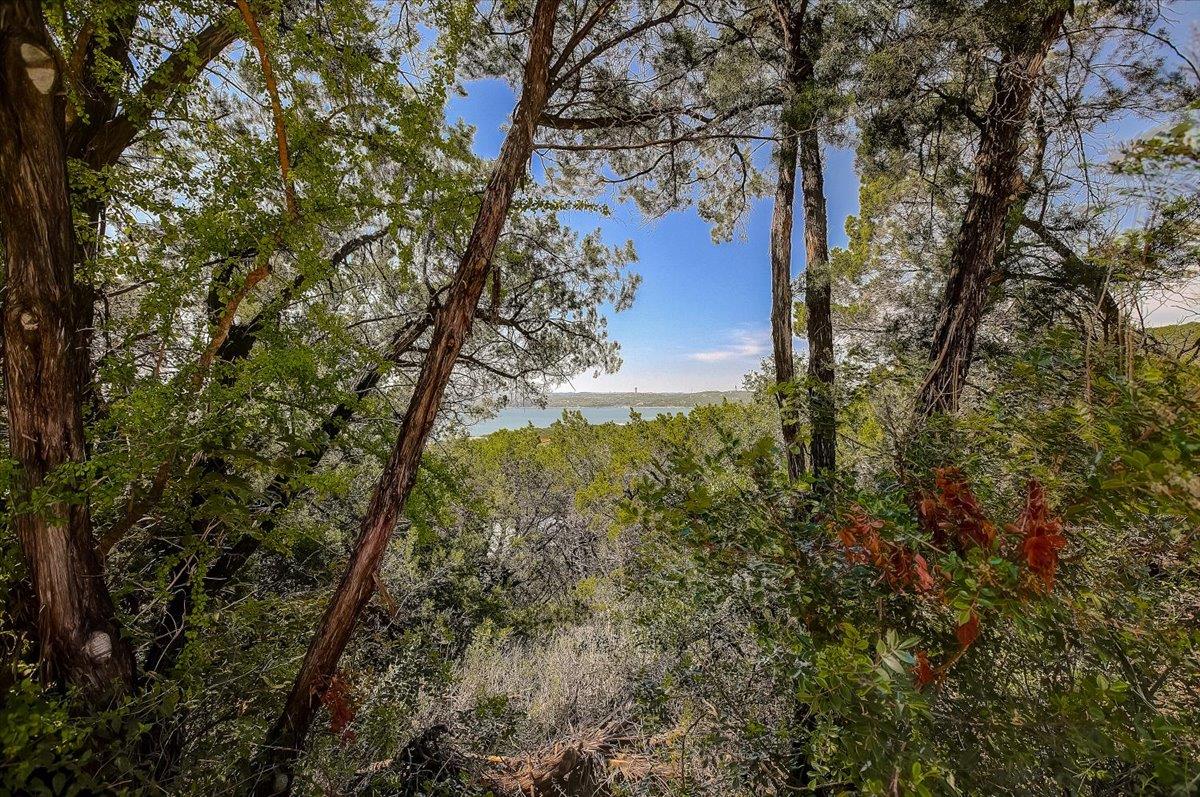 13908 Skyline DR — photo 5