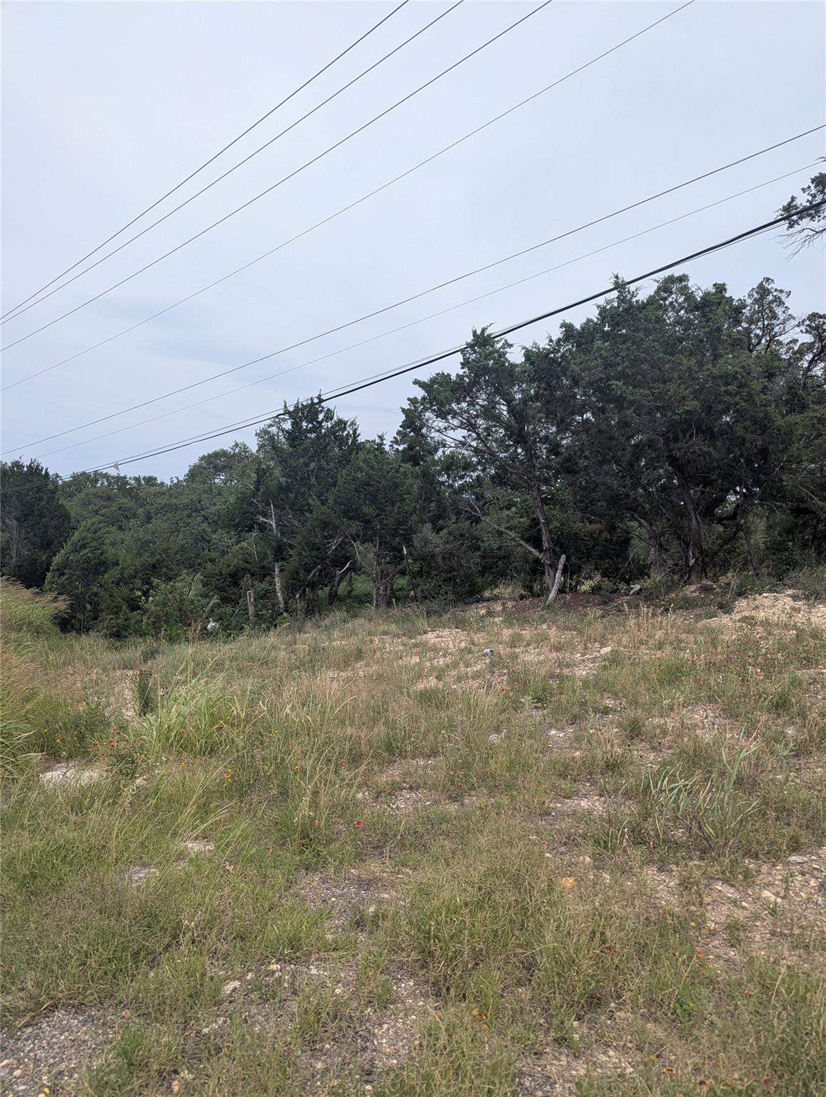 Lot 2 Hamilton Pool RD — photo 3