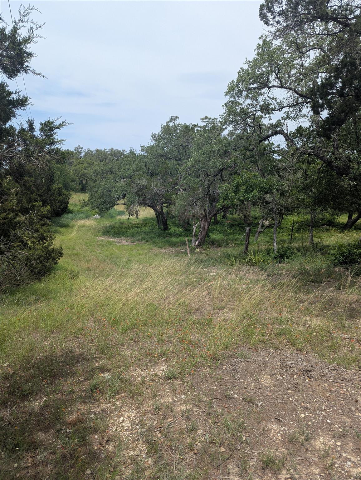 Lot 2 Hamilton Pool RD — photo 4