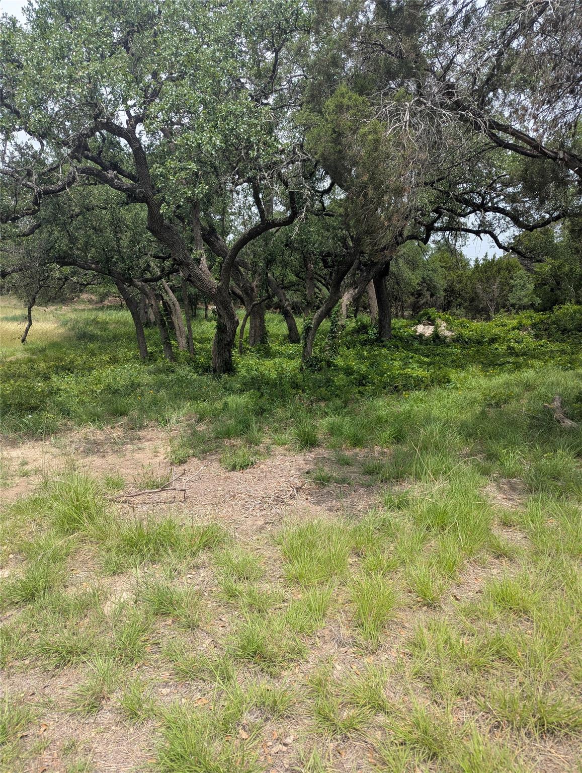 Lot 2 Hamilton Pool RD — photo 5