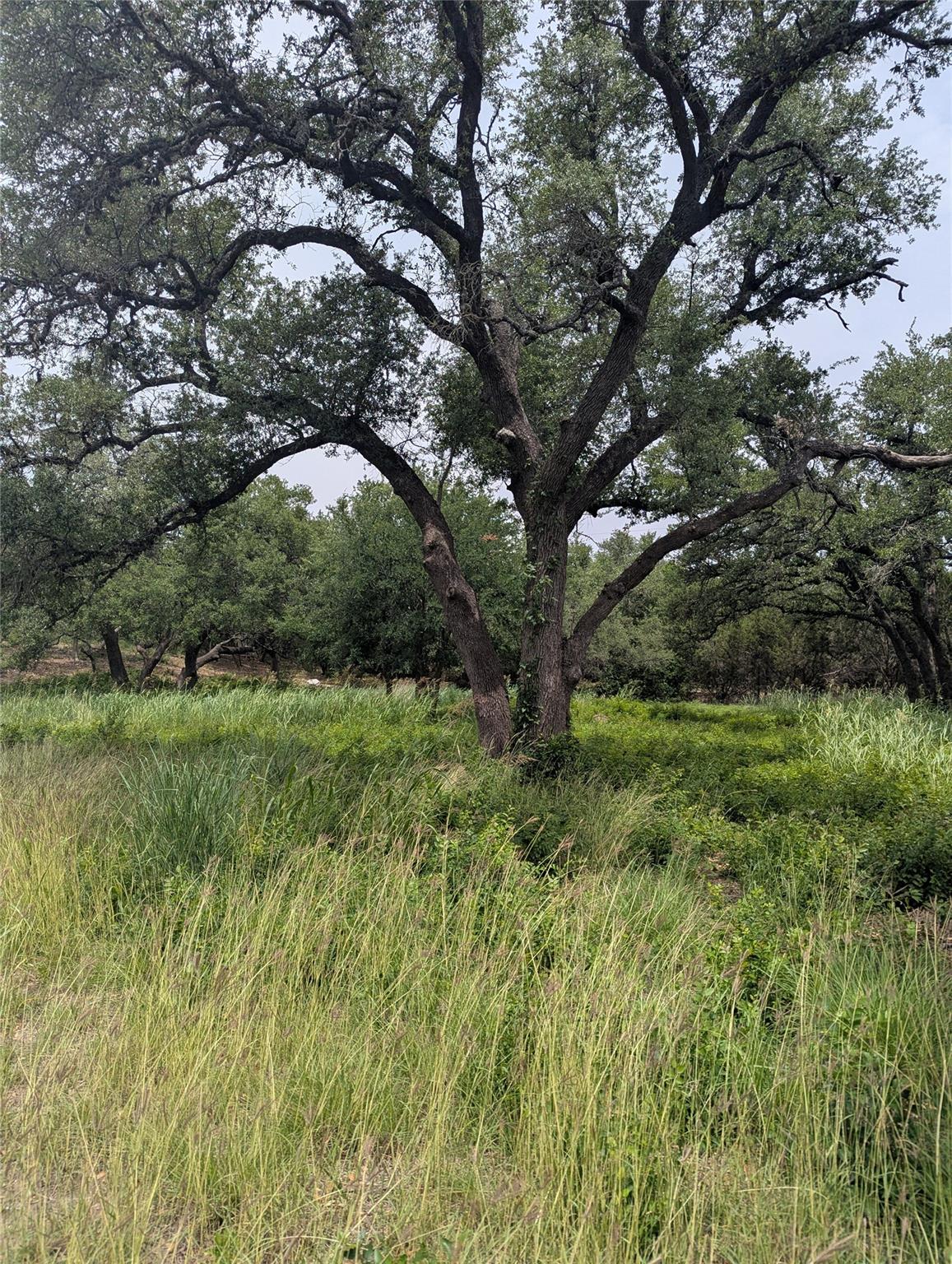 Lot 2 Hamilton Pool RD