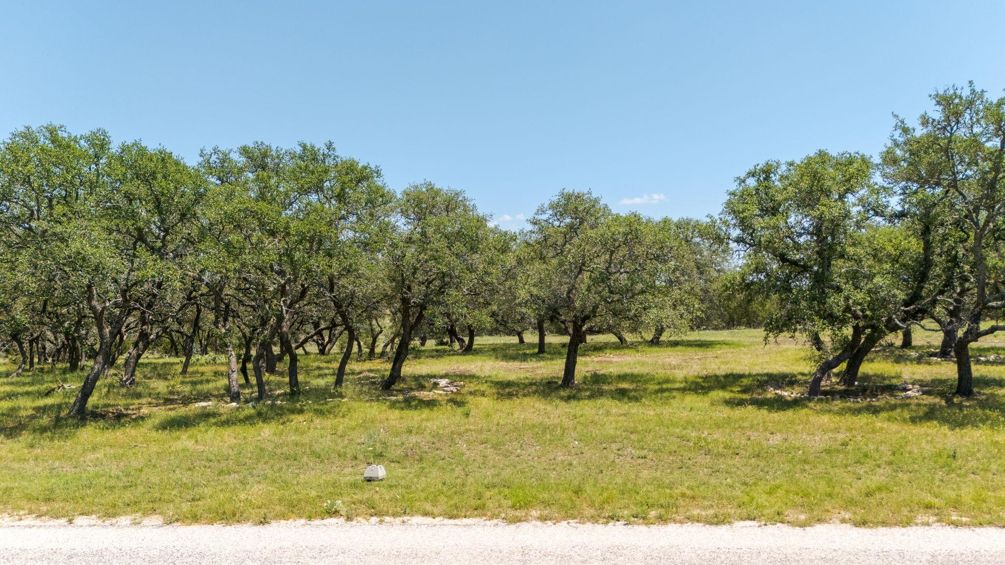Lot 125 Red Stag CT — photo 4