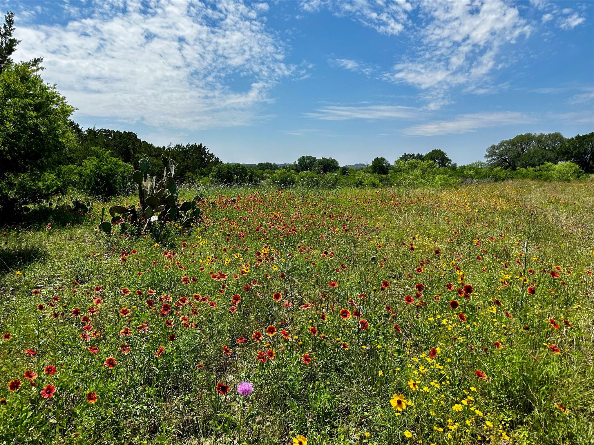 Lot 5 Colorado Canyon DR — photo 5
