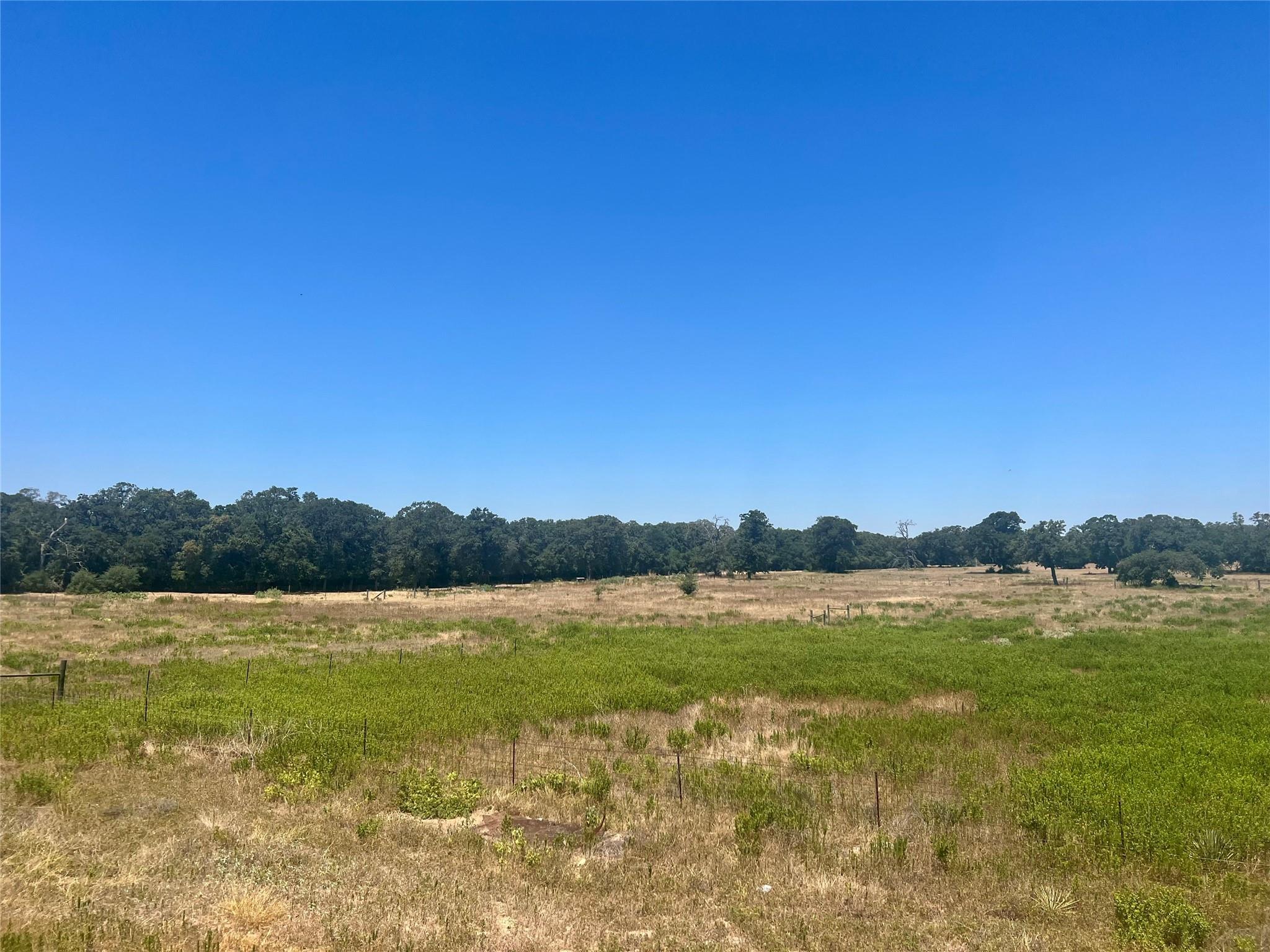 2542 County Road 306 — photo 4