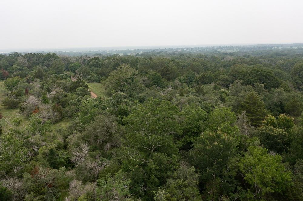 LOT 2 Private Road 4601 — photo 3