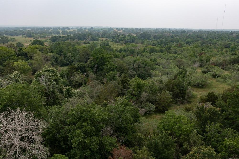 LOT 2 Private Road 4601 — photo 4