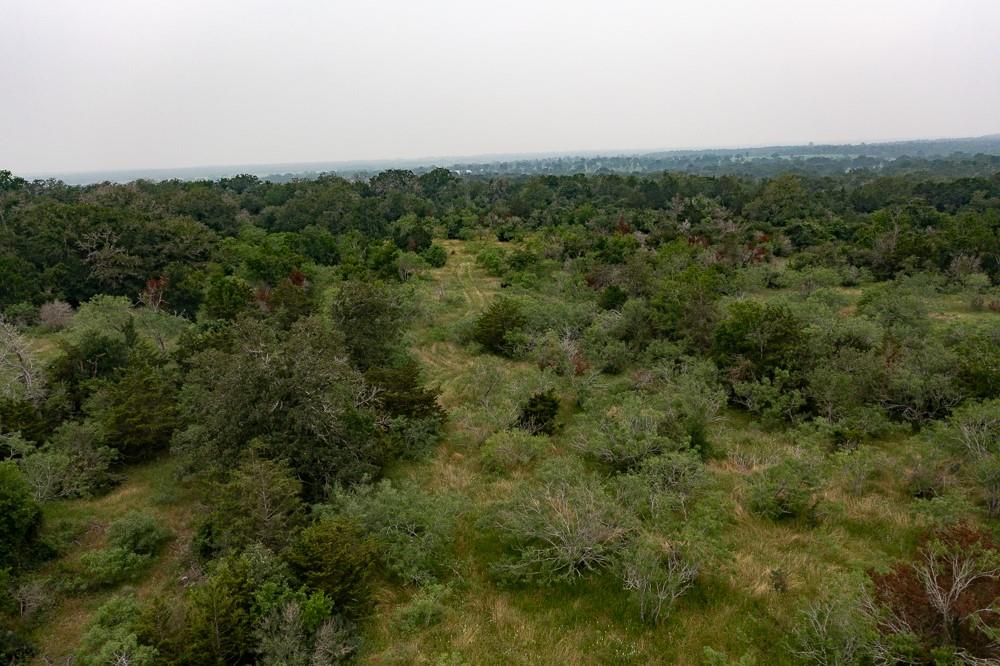 LOT 3 Private Road 4601 — photo 3