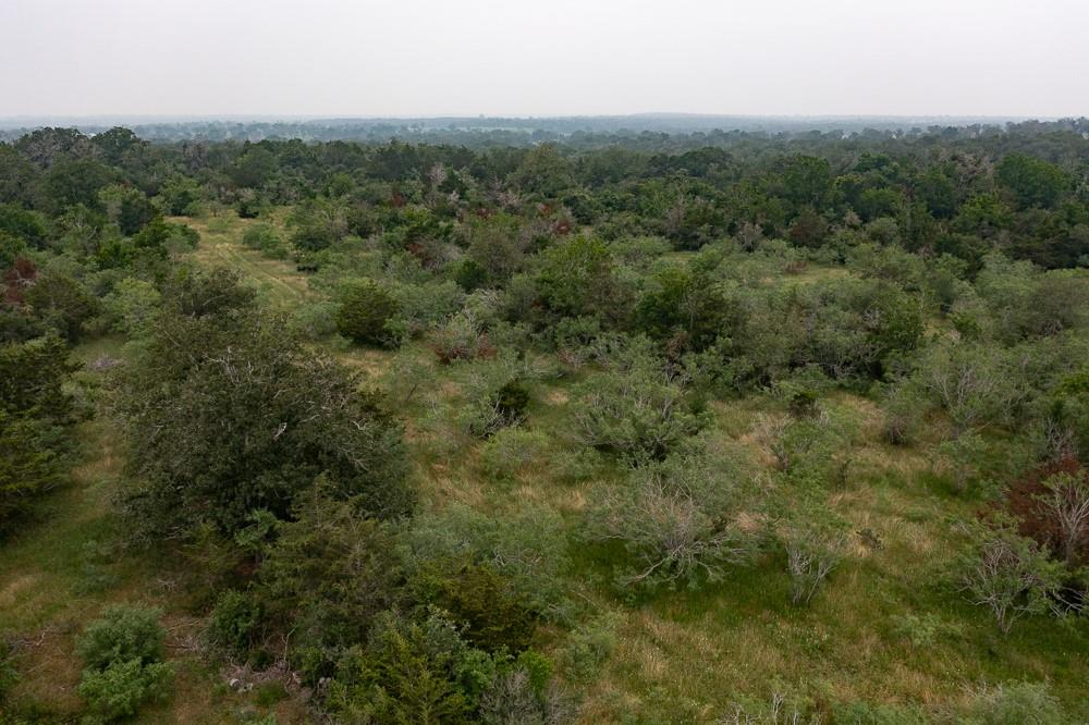 LOT 3 Private Road 4601 — photo 4