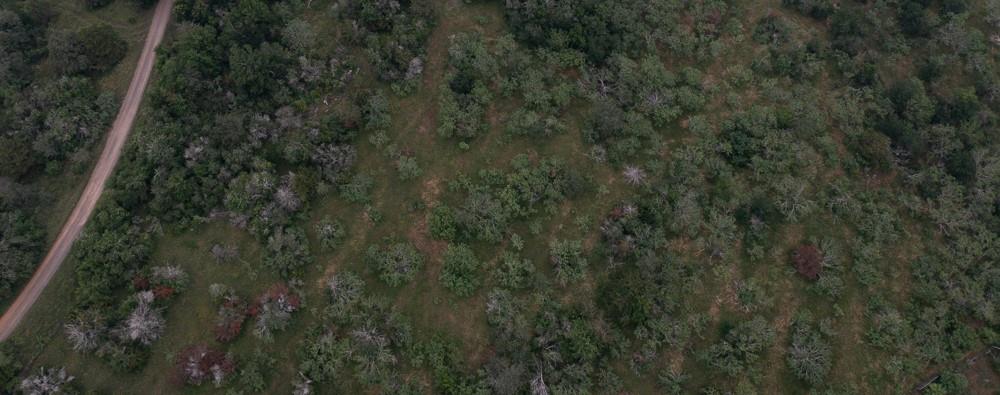 LOT 3 Private Road 4601 — photo 5