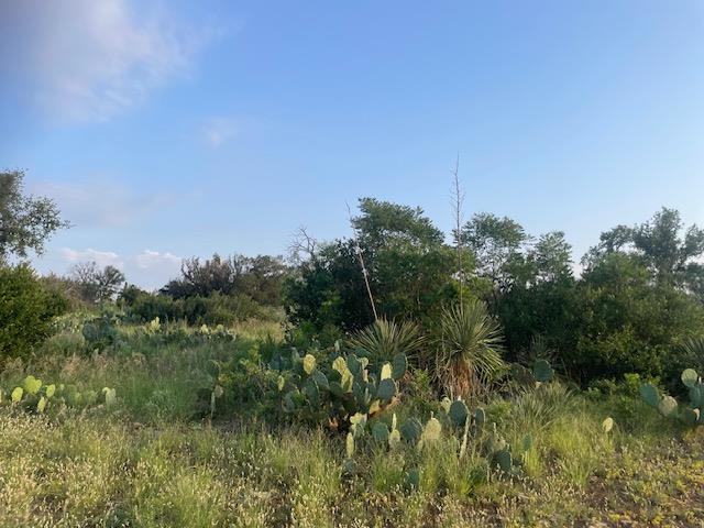 Lot 23 Cr 140 — photo 3