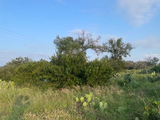 Lot 23 Cr 140 — photo 4