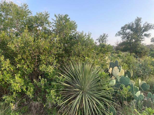 Lot 23 Cr 140 — photo 5