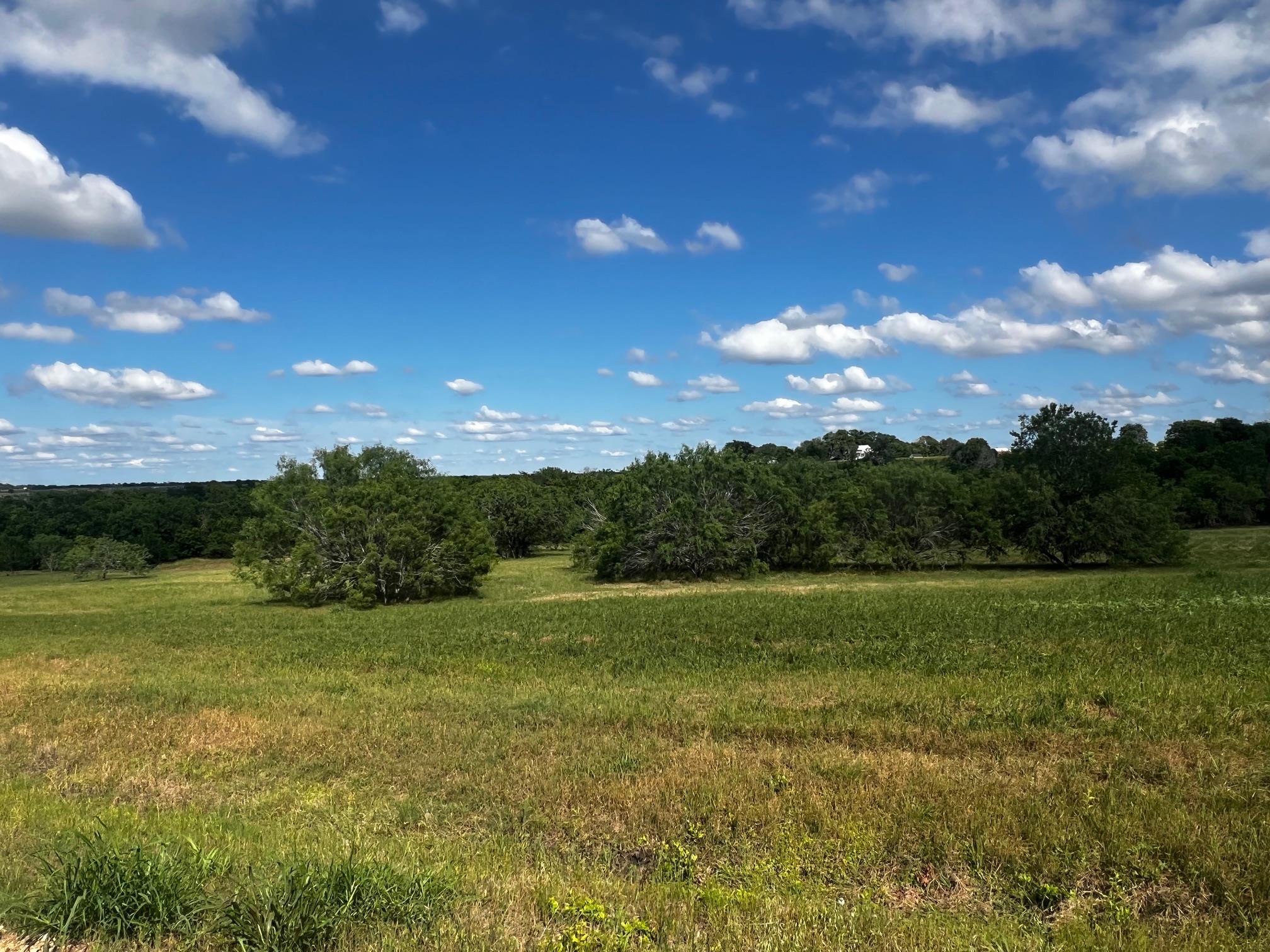 Lot 5 High Meadow Court East — photo 4