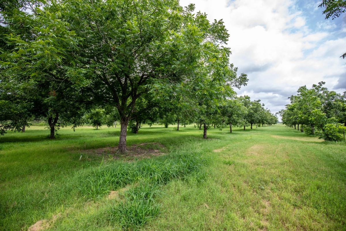 2432 County Road 402 — photo 5