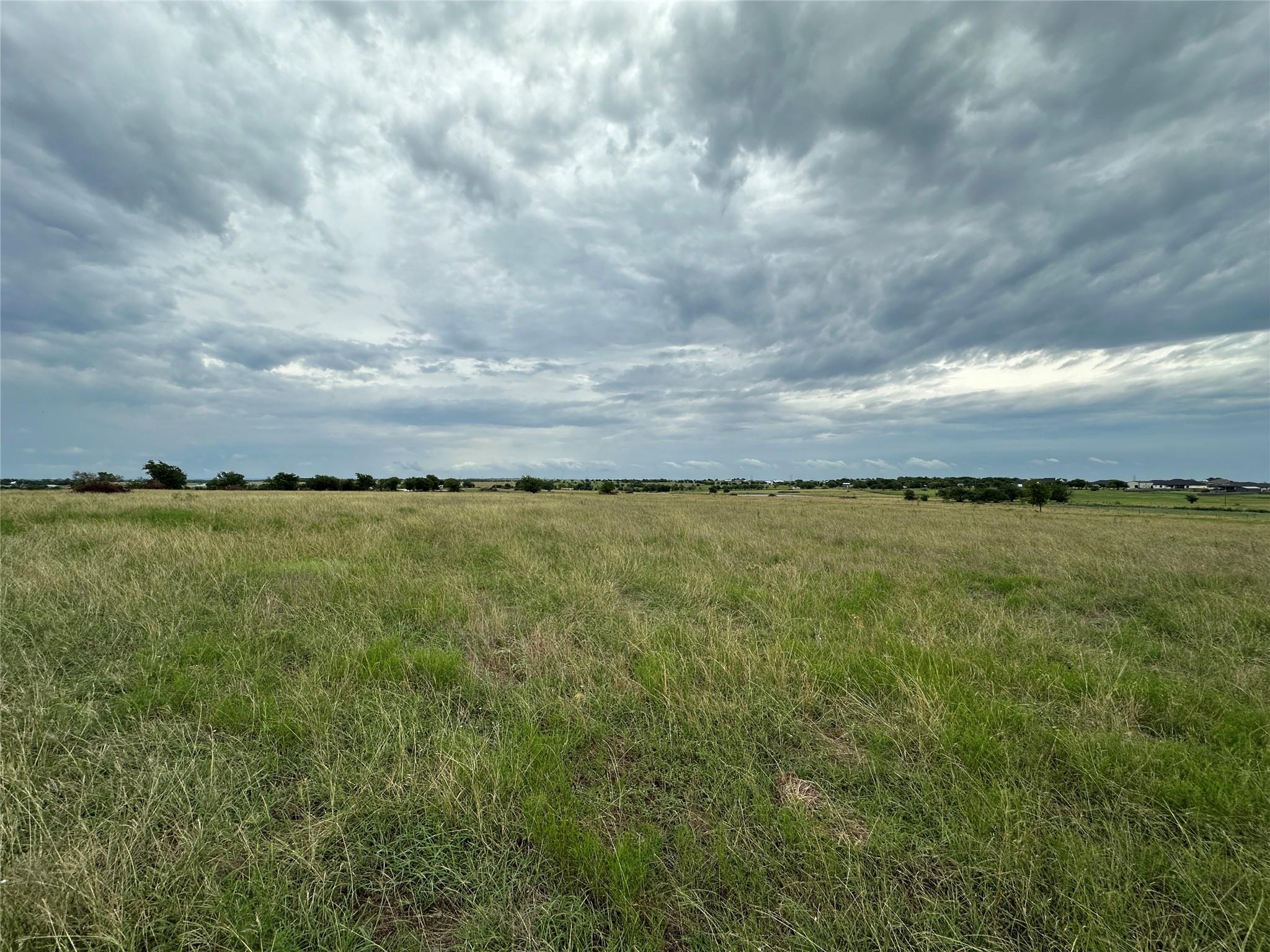 19621A FM 2115 — photo 5