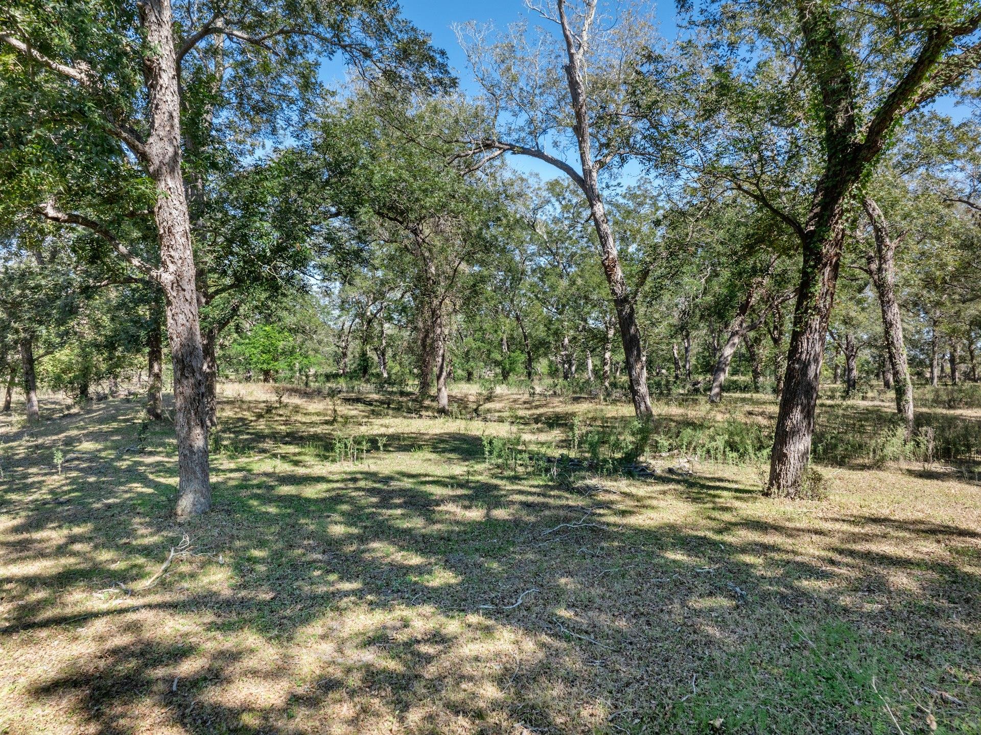 5201 US Highway 90A — photo 4