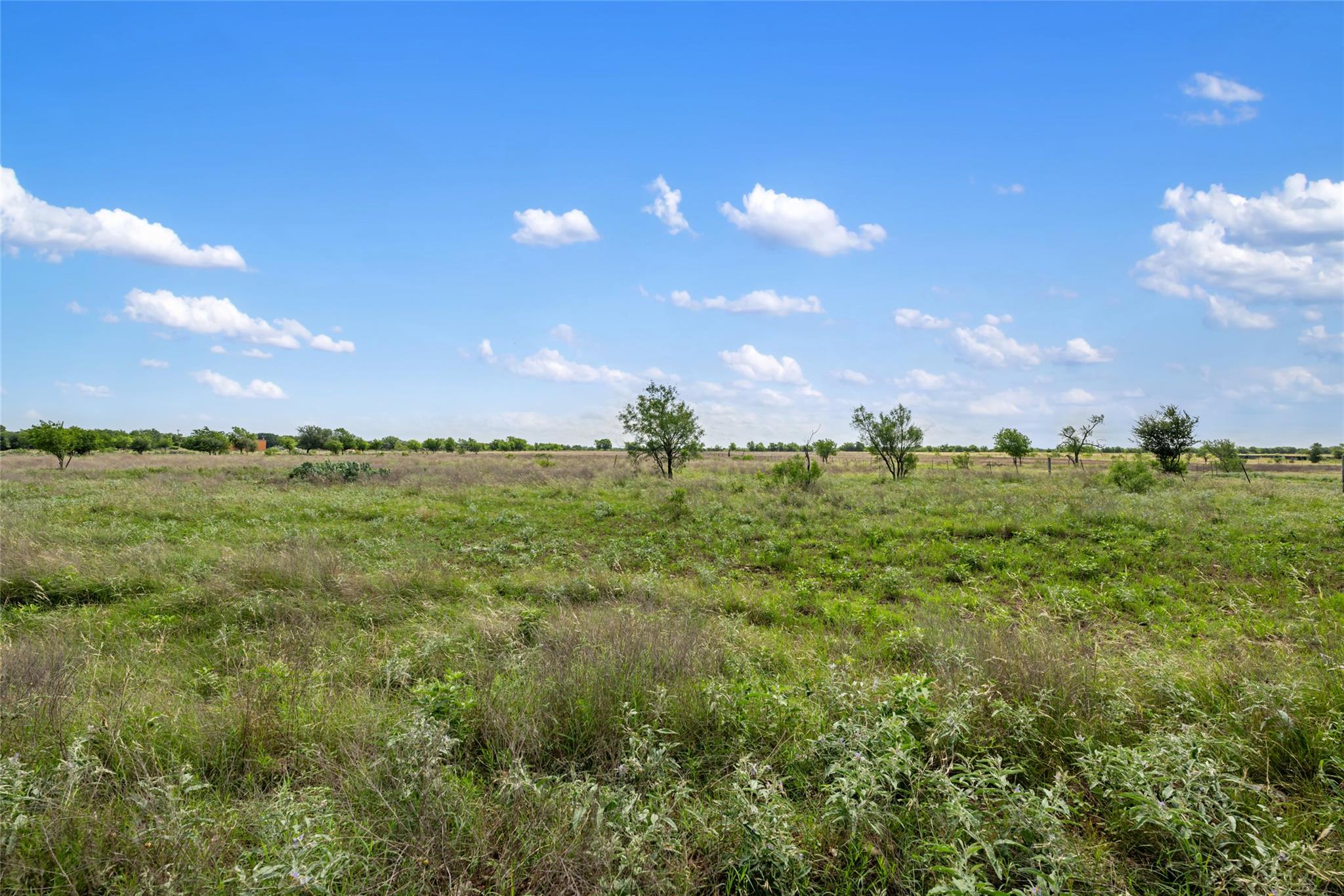 1100-1150 County Road 308 RD #1100-1150 — photo 5