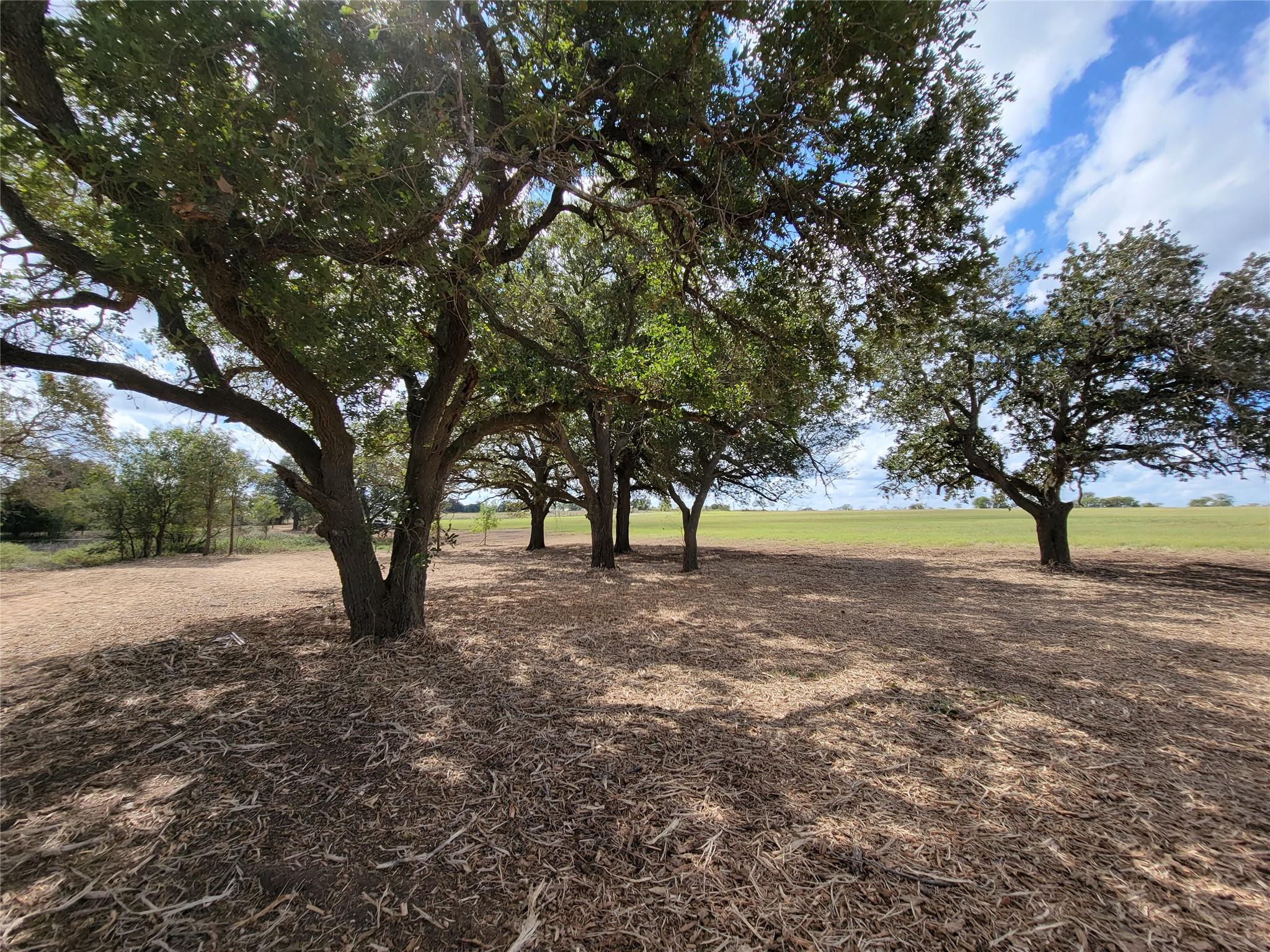 Tract 2 FM 713 Highway — photo 3