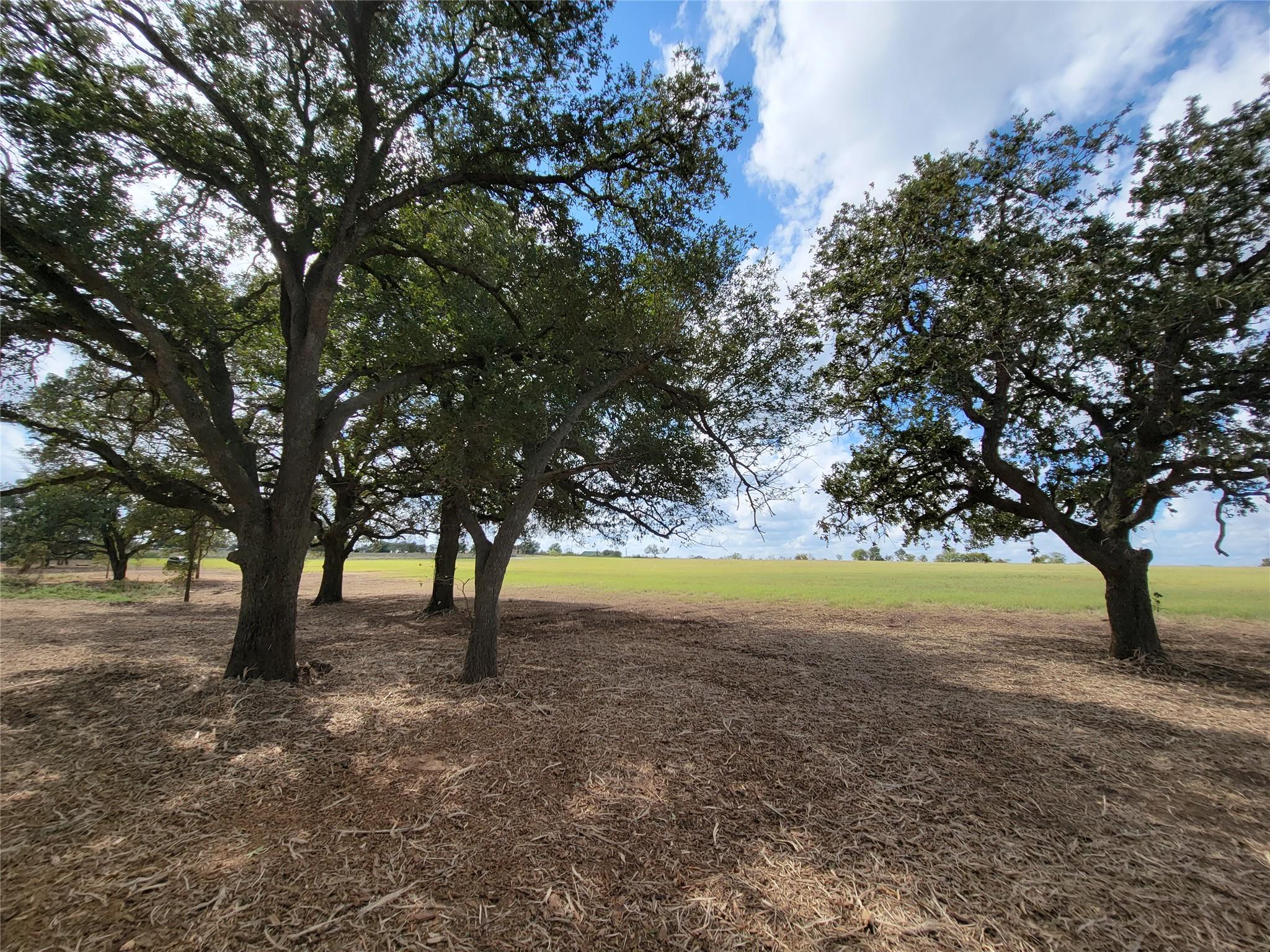 Tract 2 FM 713 Highway — photo 5