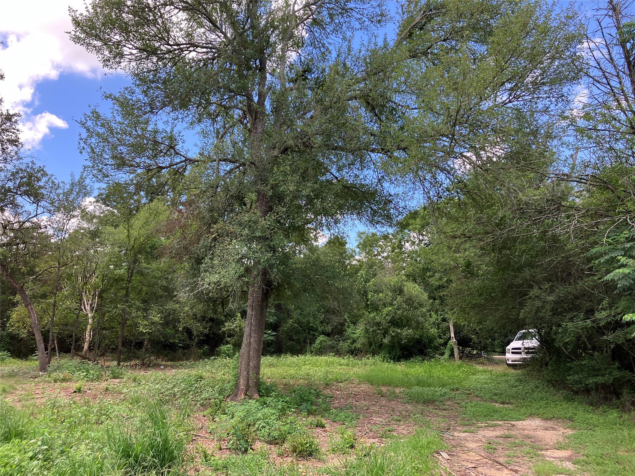 693 Saint Mary's RD — photo 3