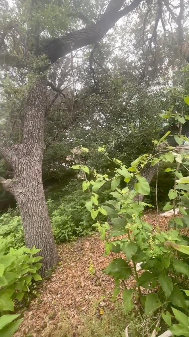 4908 Arrowhead DR — photo 5