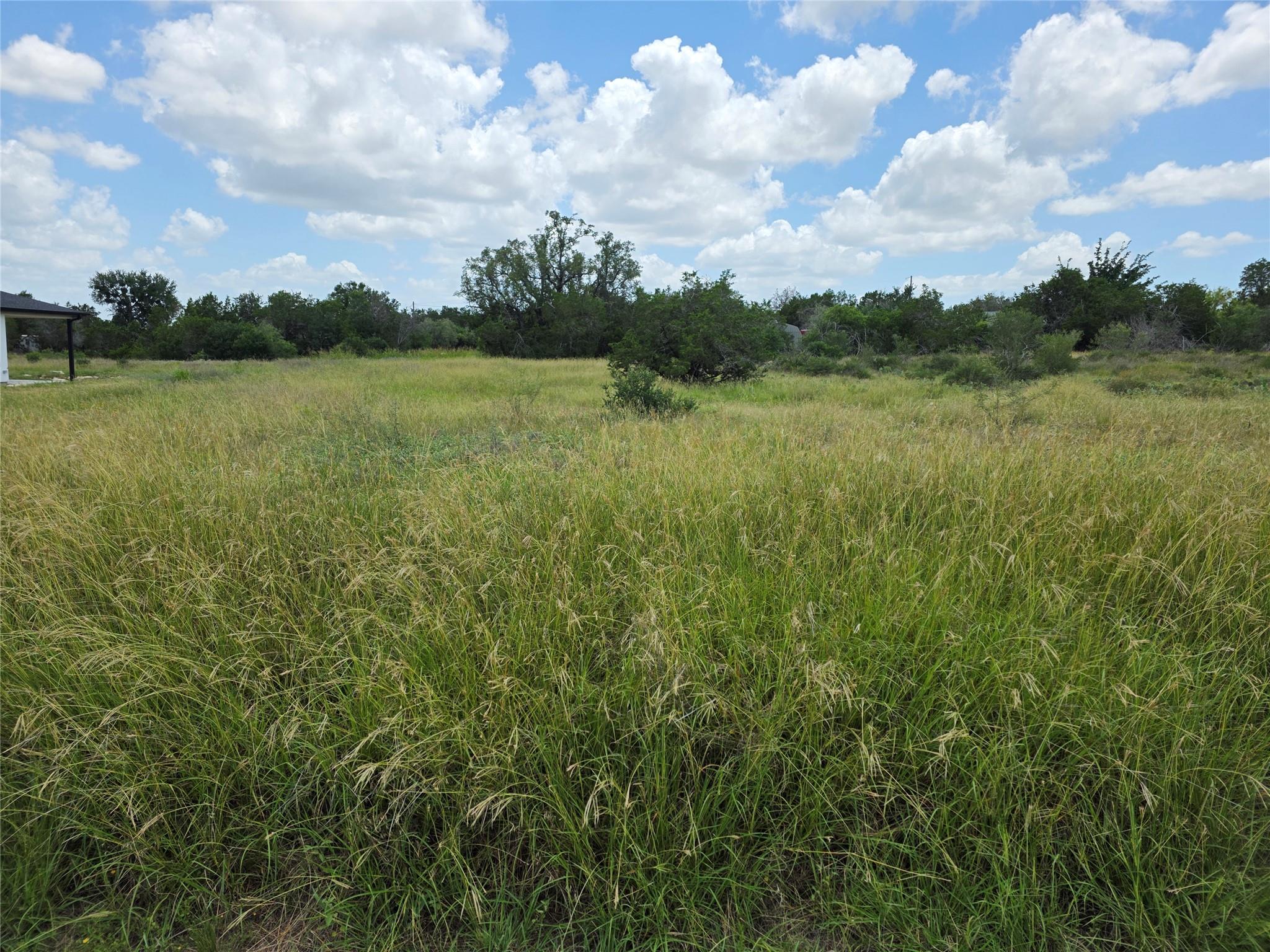 241 Spicewood Trails DR — photo 5
