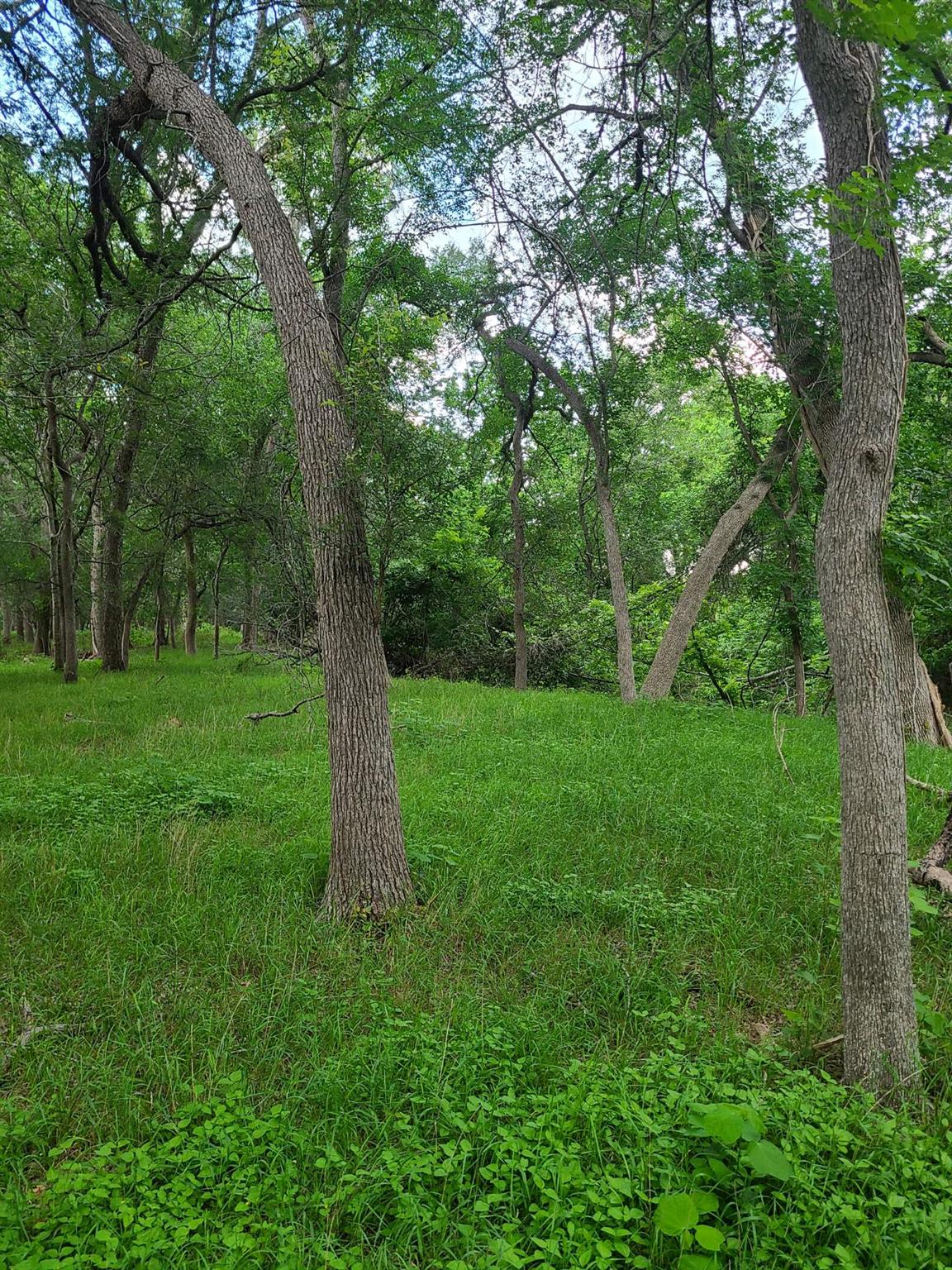 9411 FM 86 Highway — photo 4