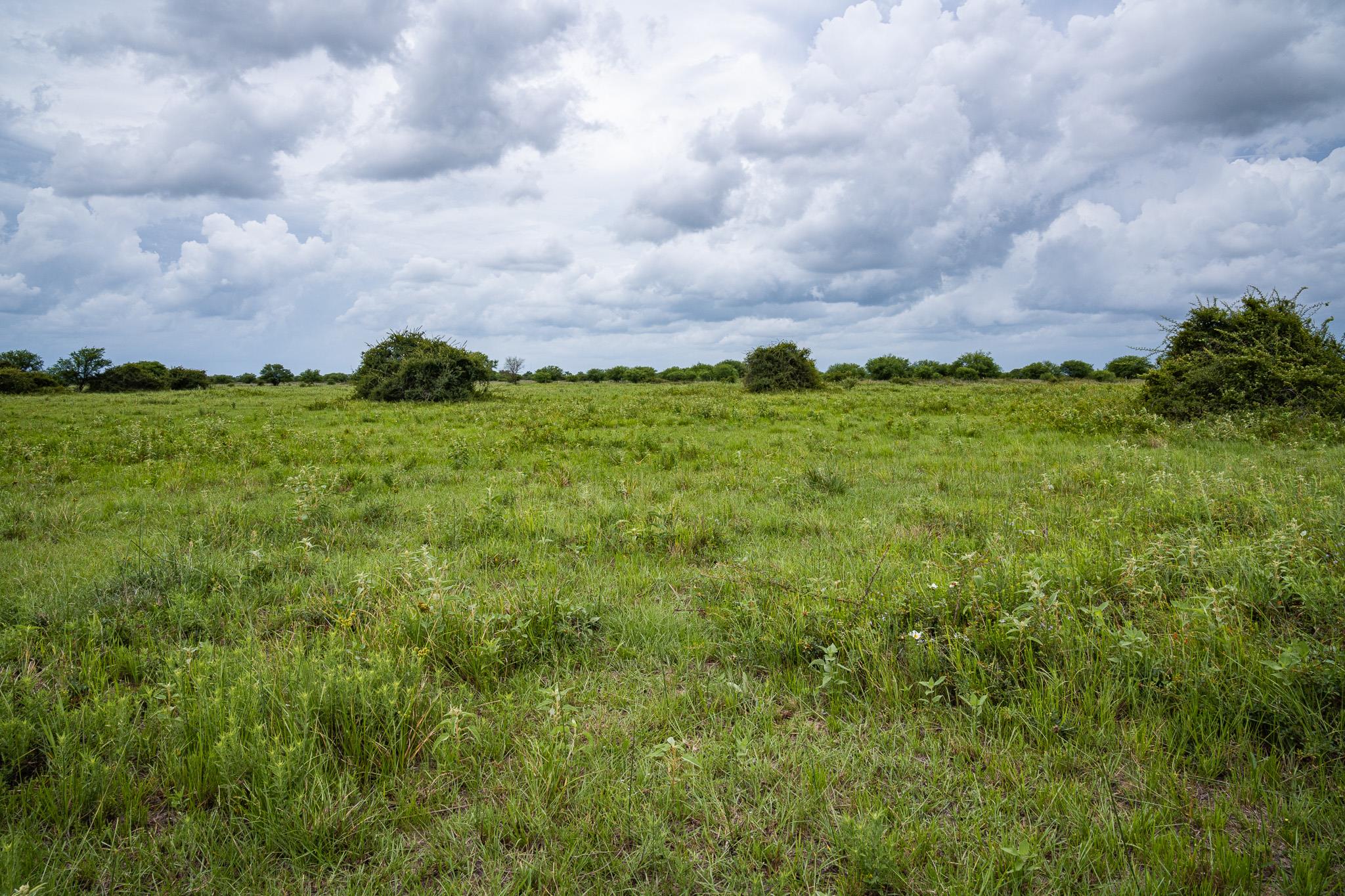 TBD Rice RD — photo 4