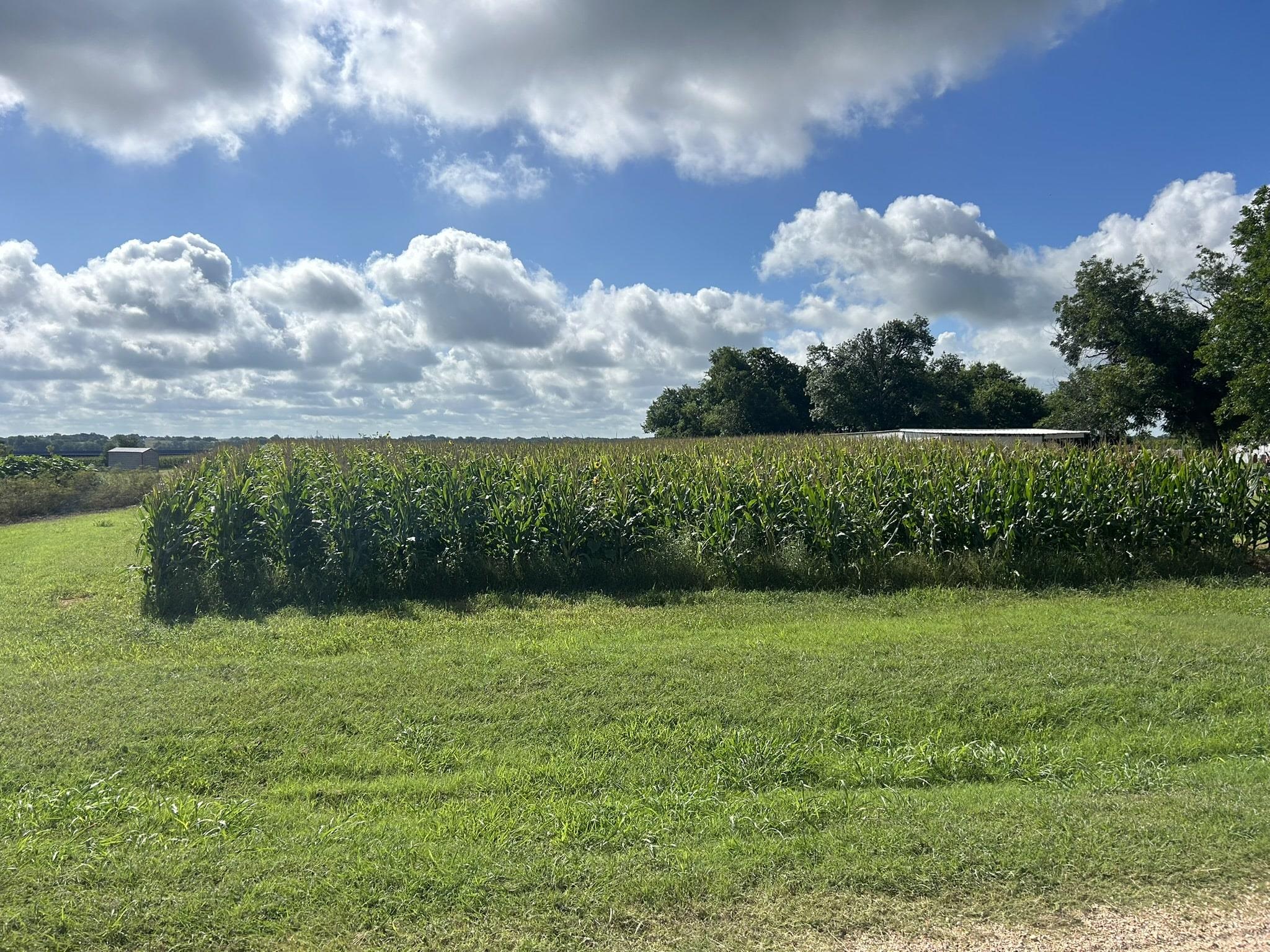 TBD Apple Cider RD — photo 3