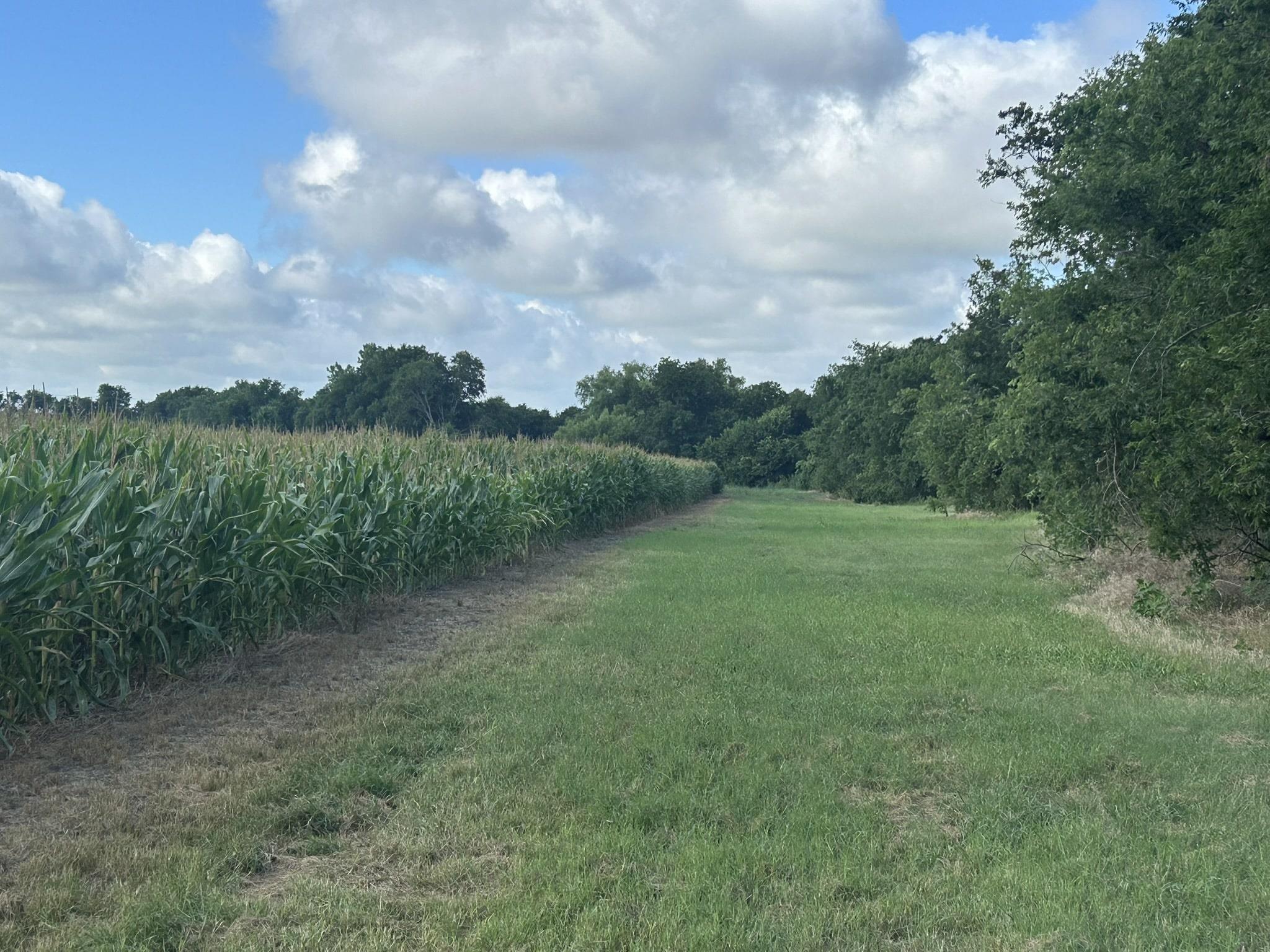 TBD Apple Cider RD — photo 4