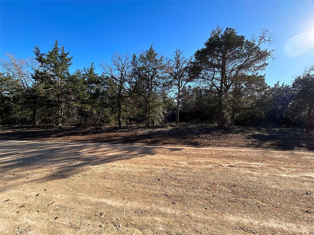 119 C Milam LN — photo 4