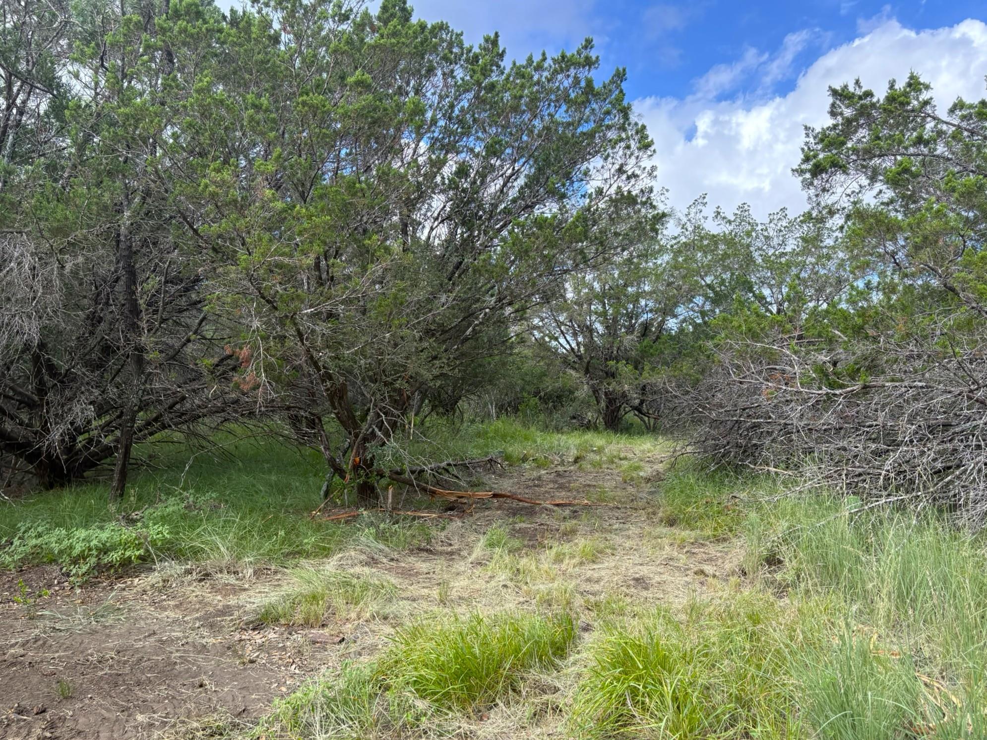 380 Sandy Mountain — photo 4