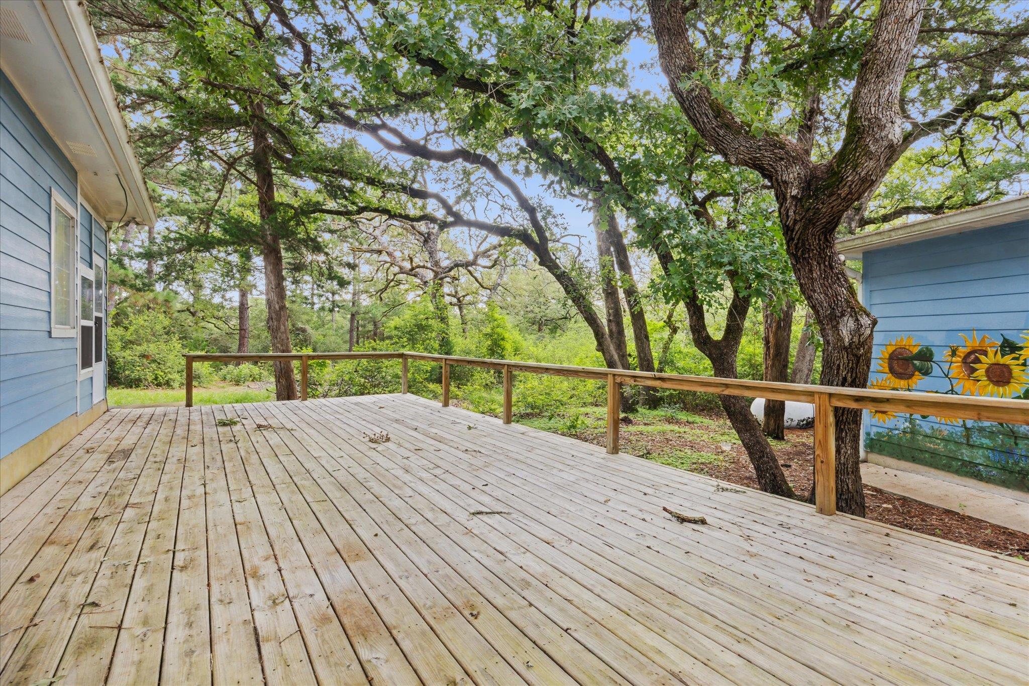 222 Pony Express DR — photo 5