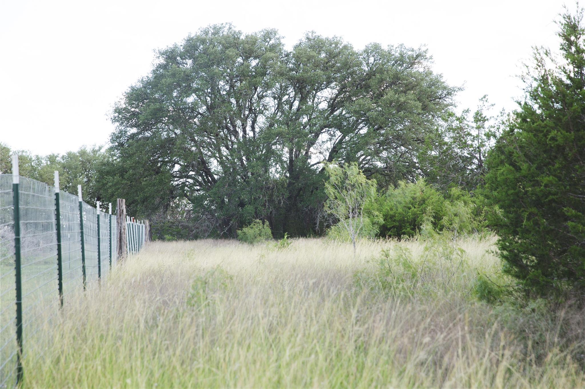 LOT 2 Cr 330 — photo 4