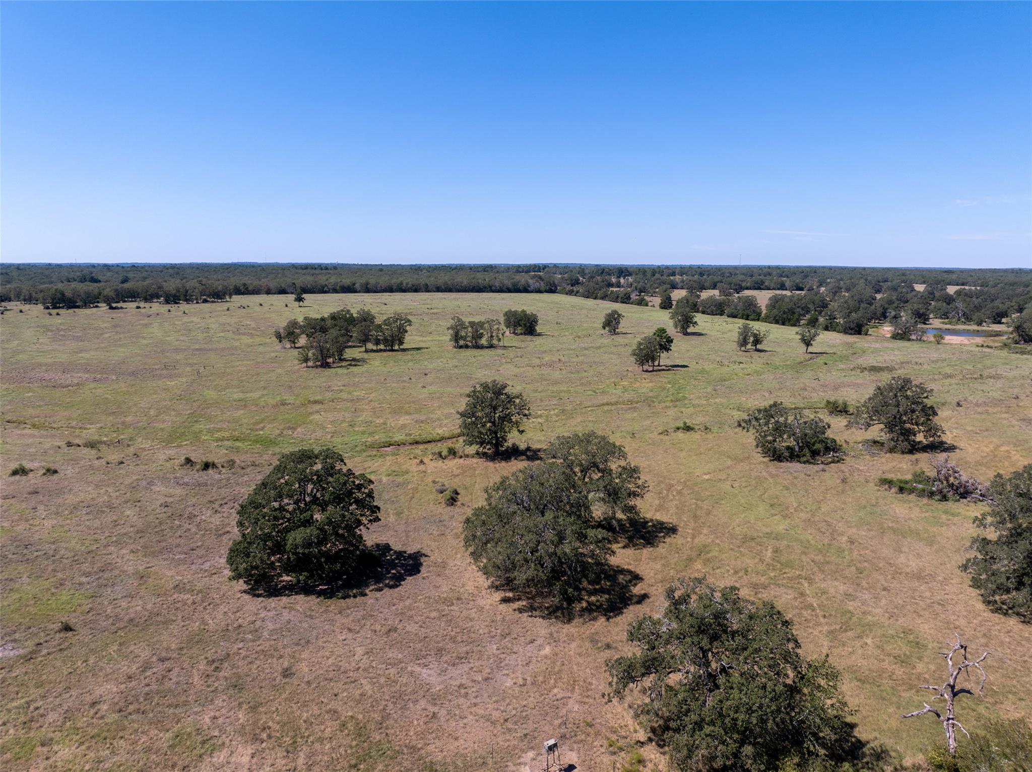 1078 Old Pin Oak RD #Tract 1 — photo 5