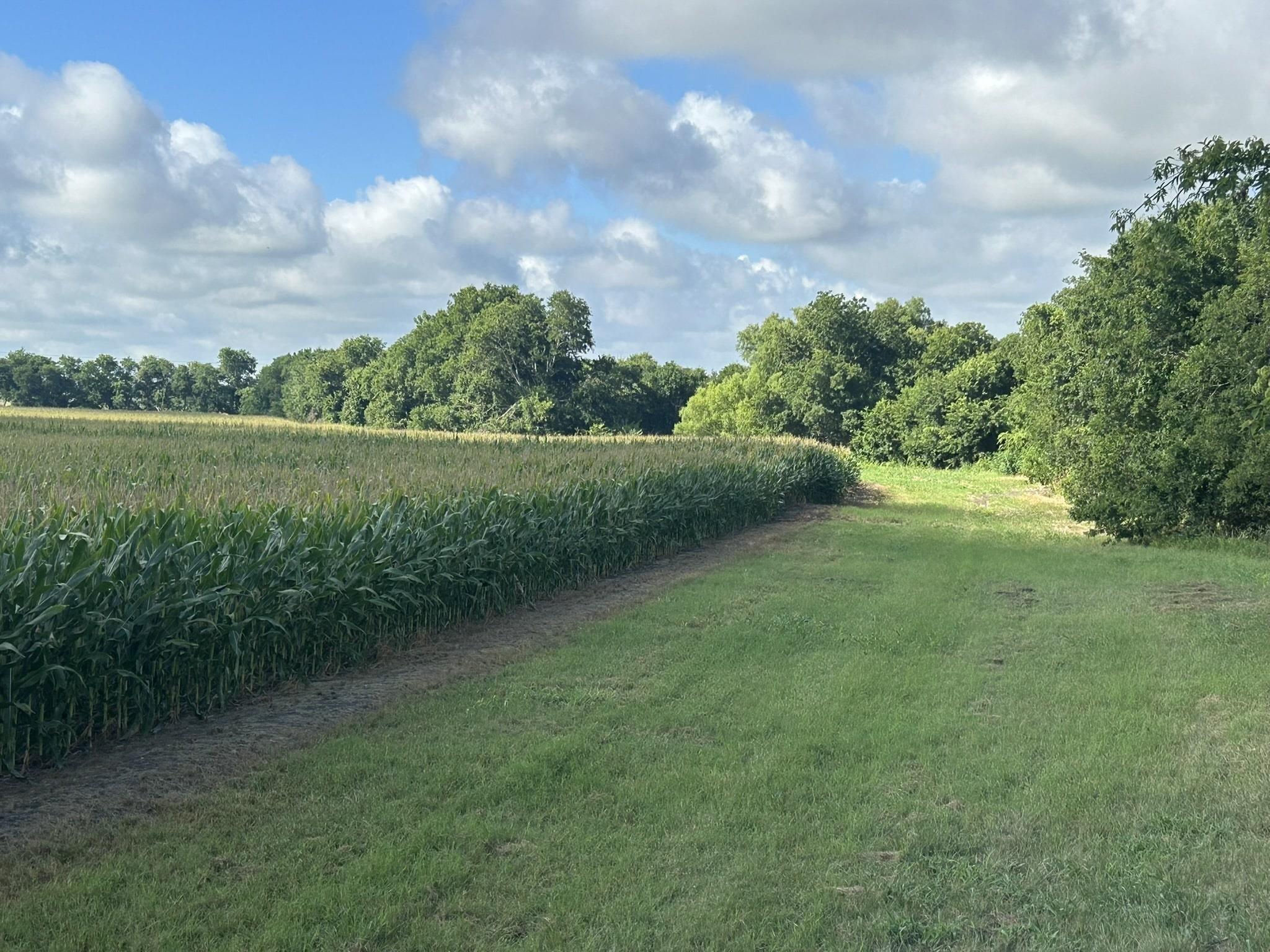 TBD2 Apple Cider RD — photo 4