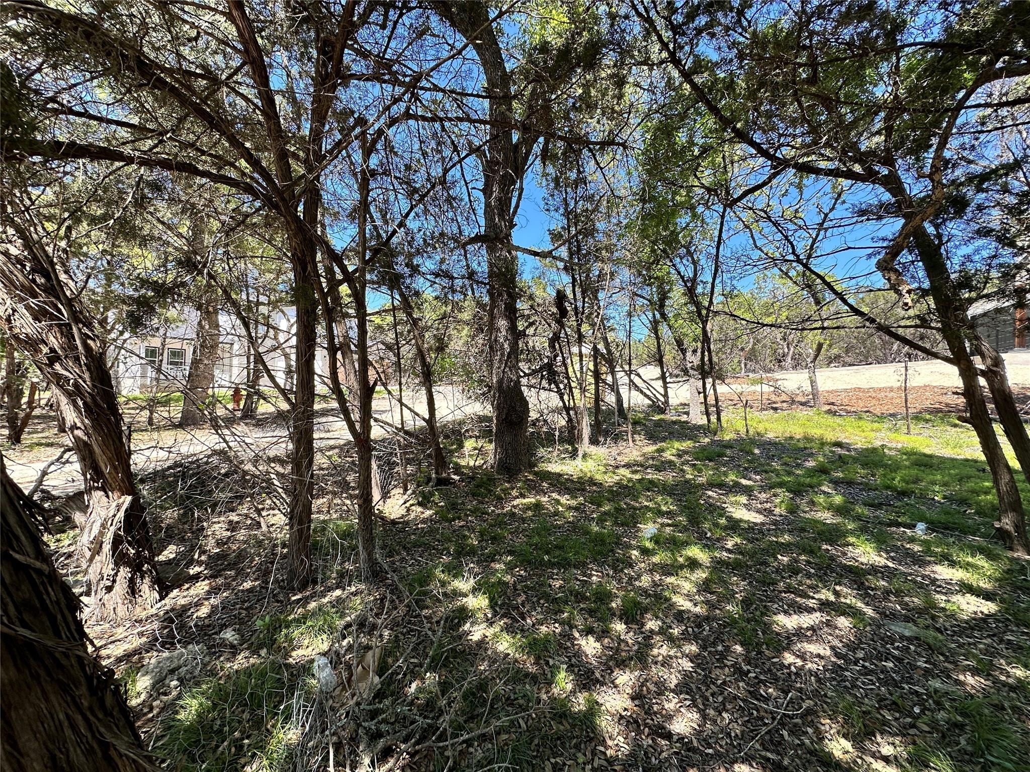TBD Mimosa ST — photo 4