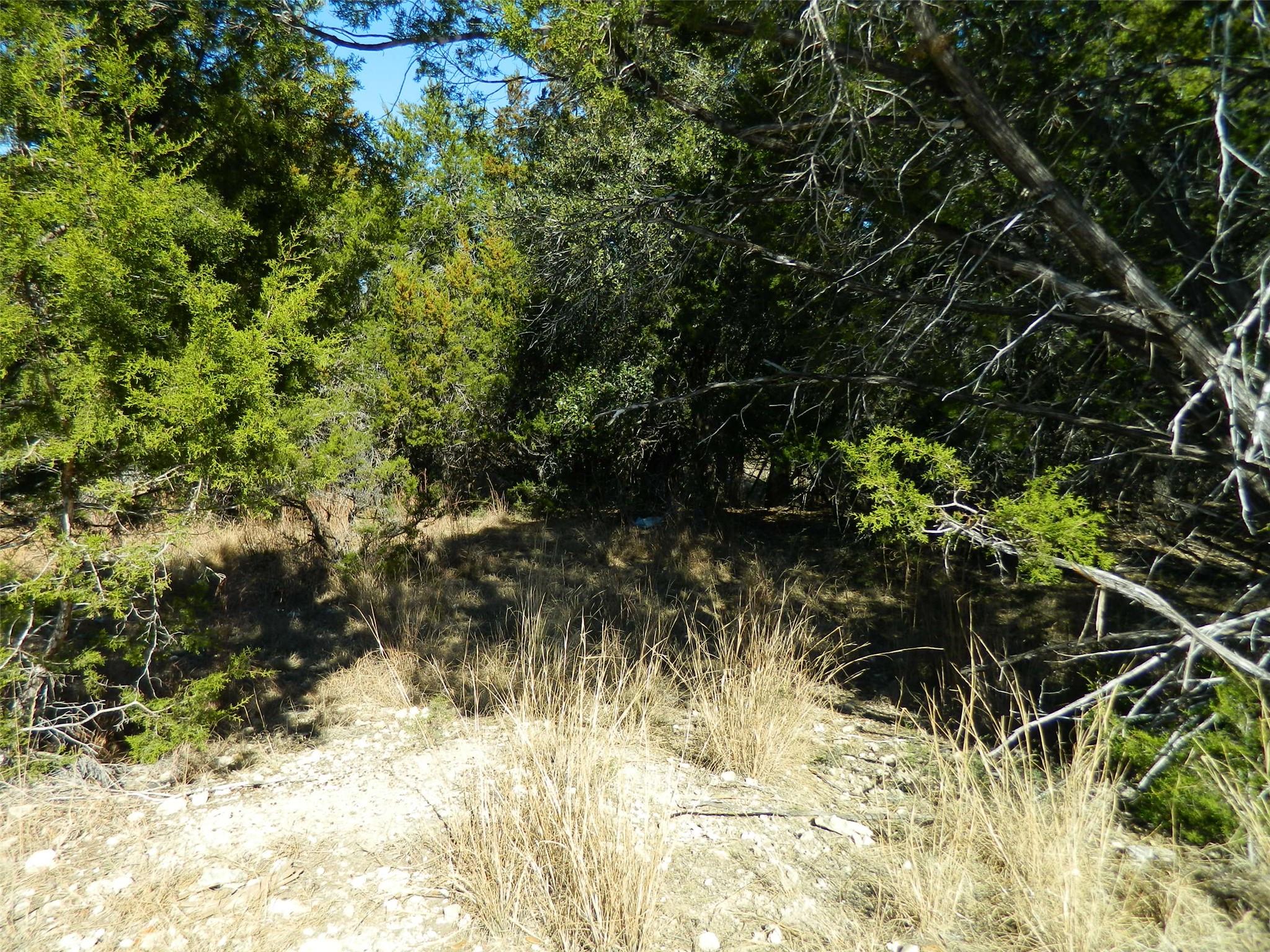 21108 Santa Rosa Ave — photo 3