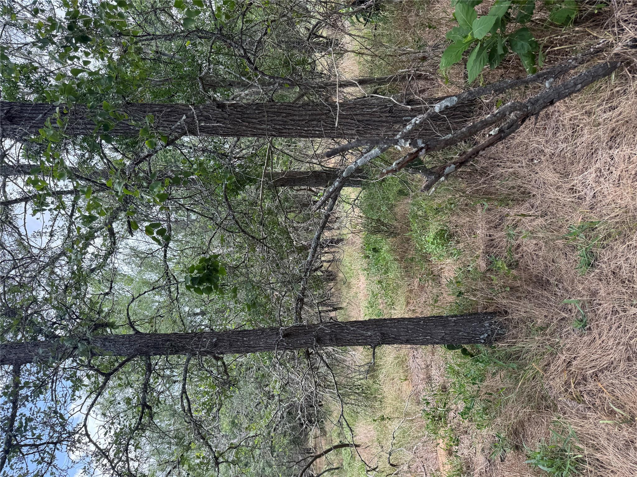 Lot 686 Kawainui LN — photo 4
