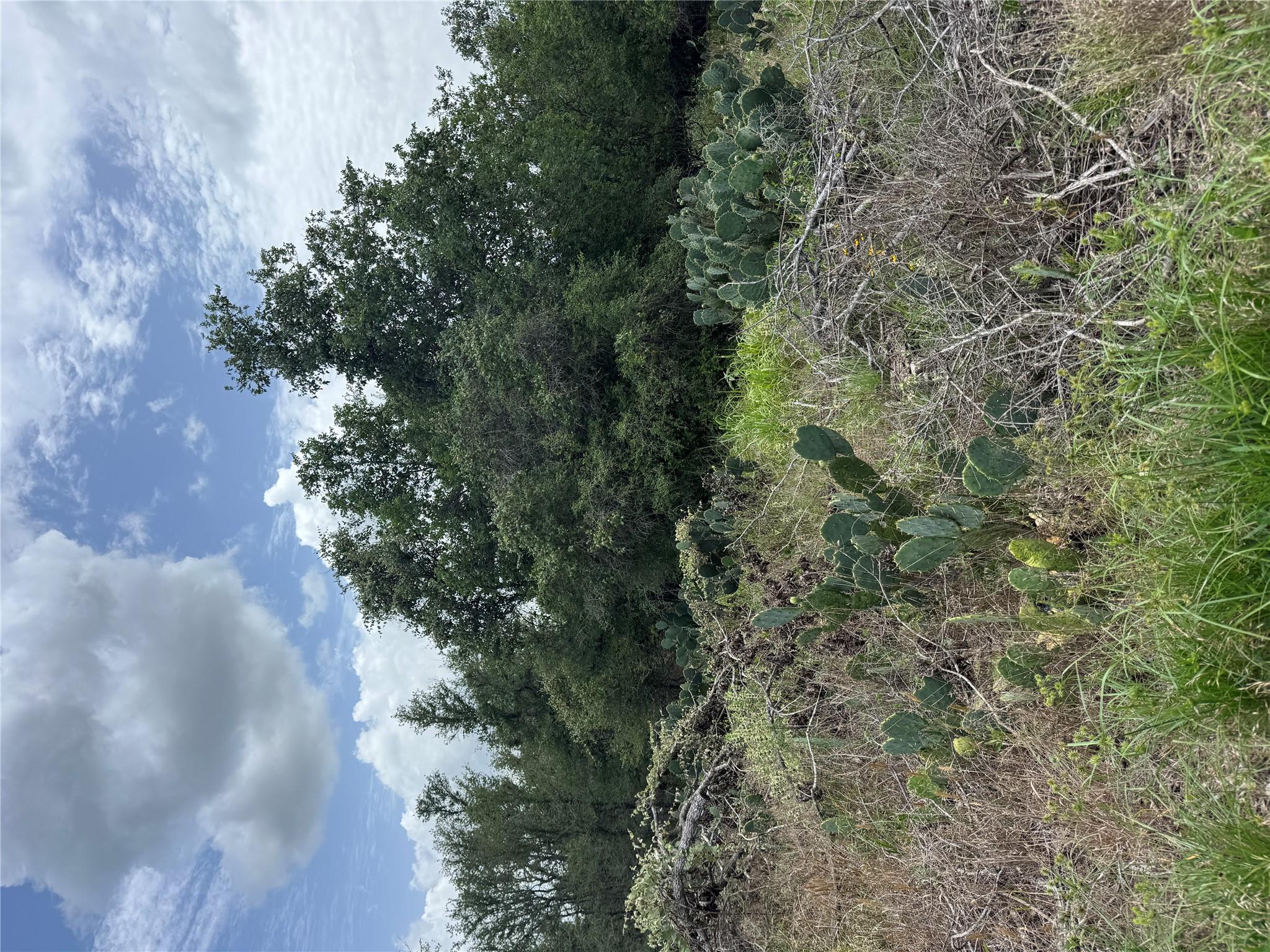 Lot 687 Kawainui LN — photo 4